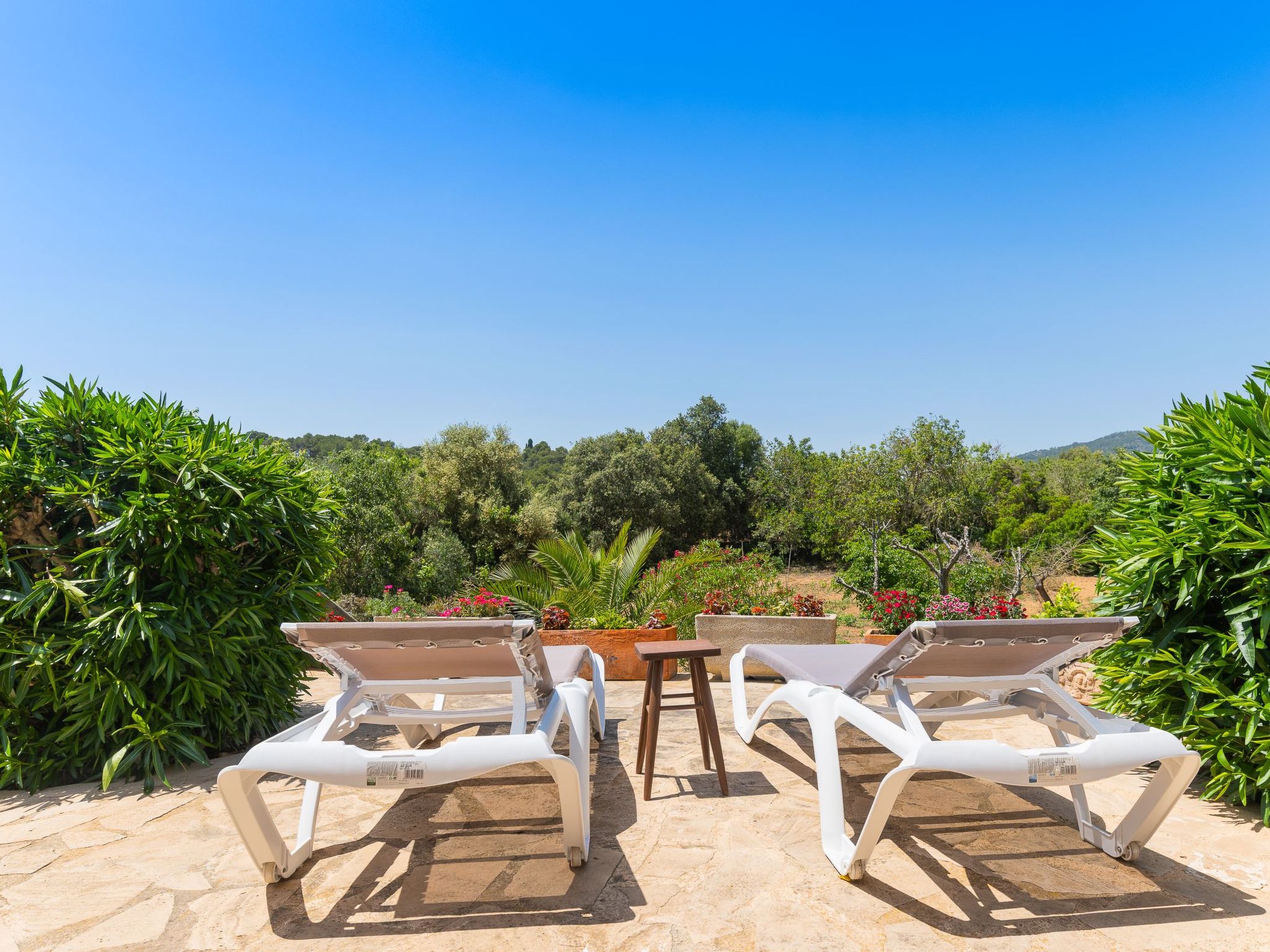 Palleta-Image-tags.info