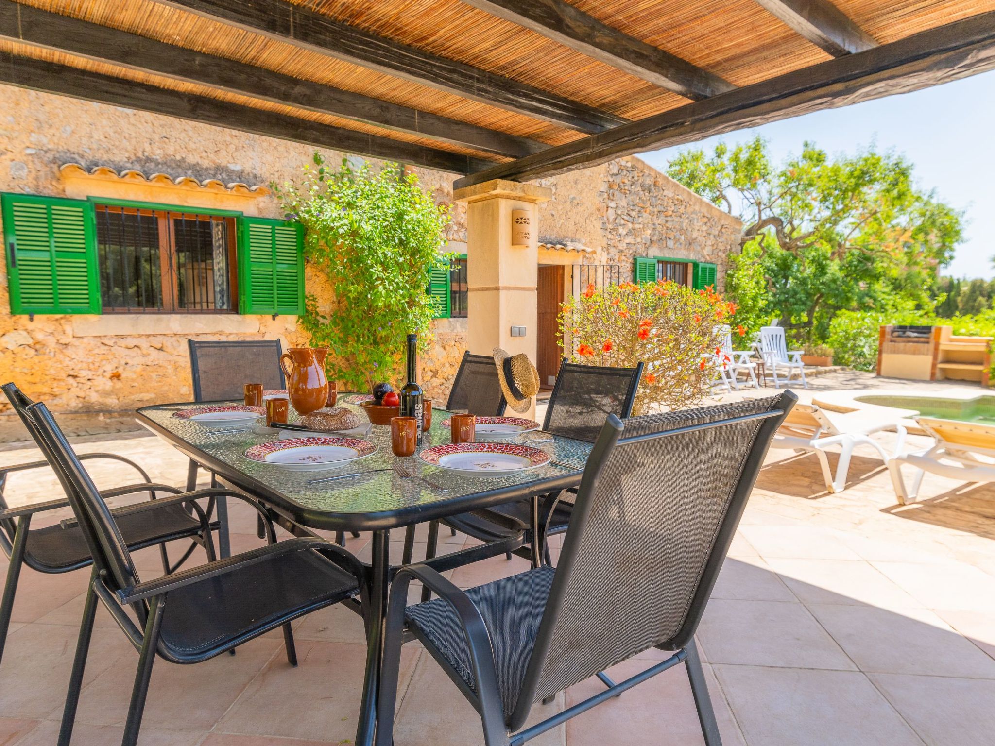 Palleta-Image-tags.info