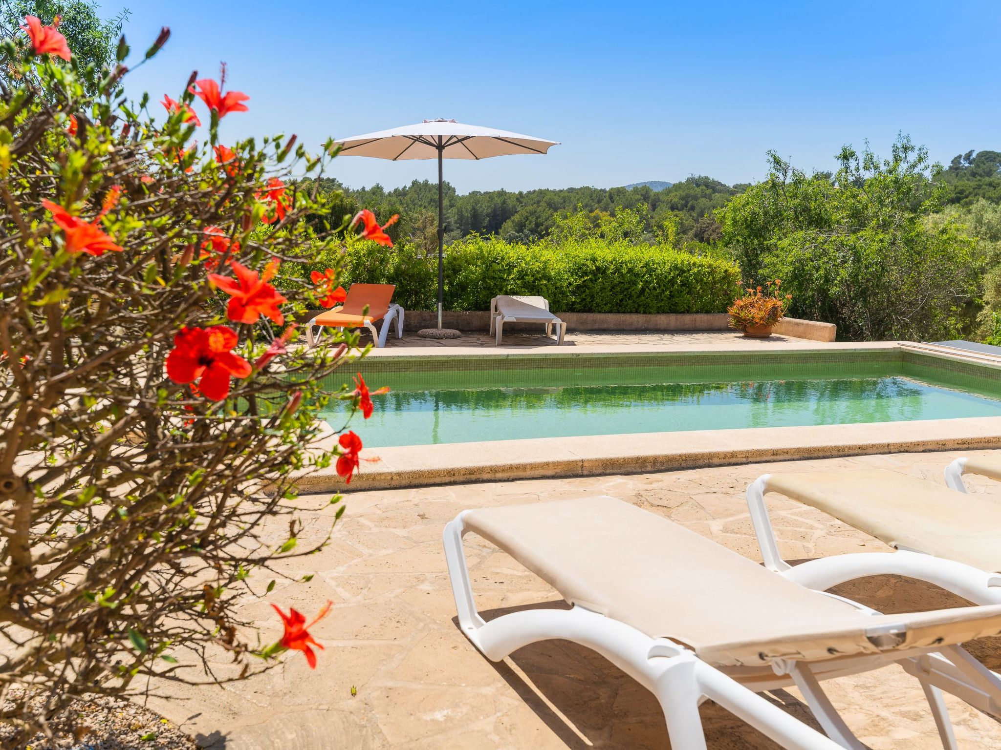 Palleta-Image-tags.info