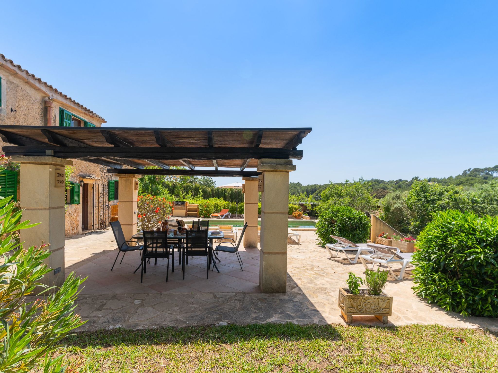 Palleta-Image-tags.info