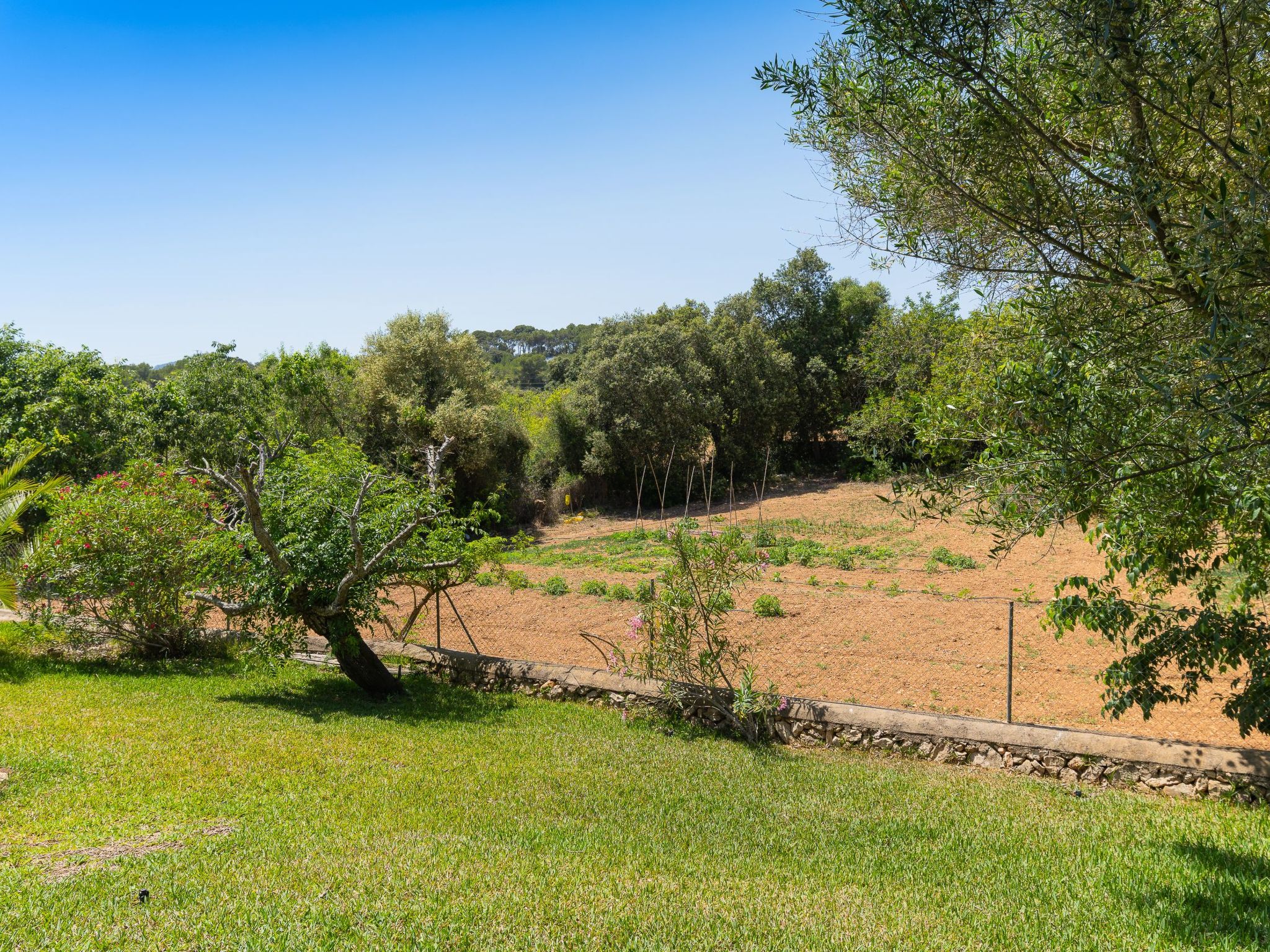 Palleta-Image-tags.info