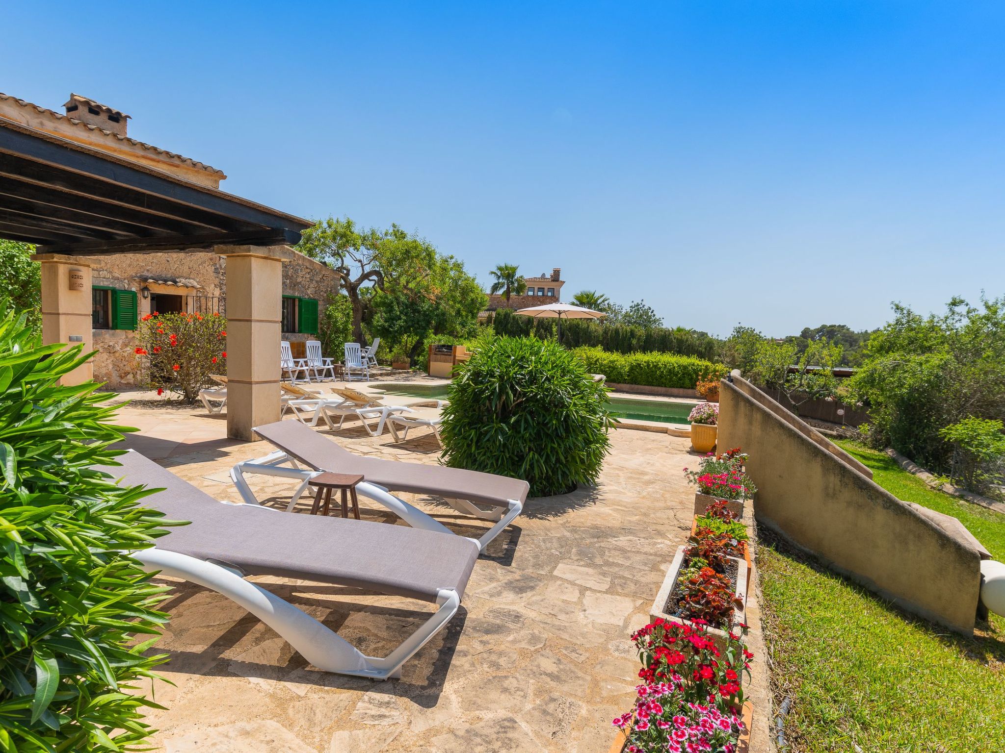 Palleta-Image-tags.info