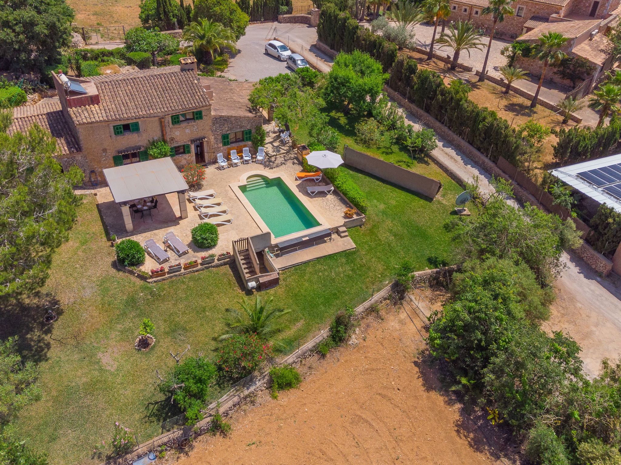 Palleta-Image-tags.info