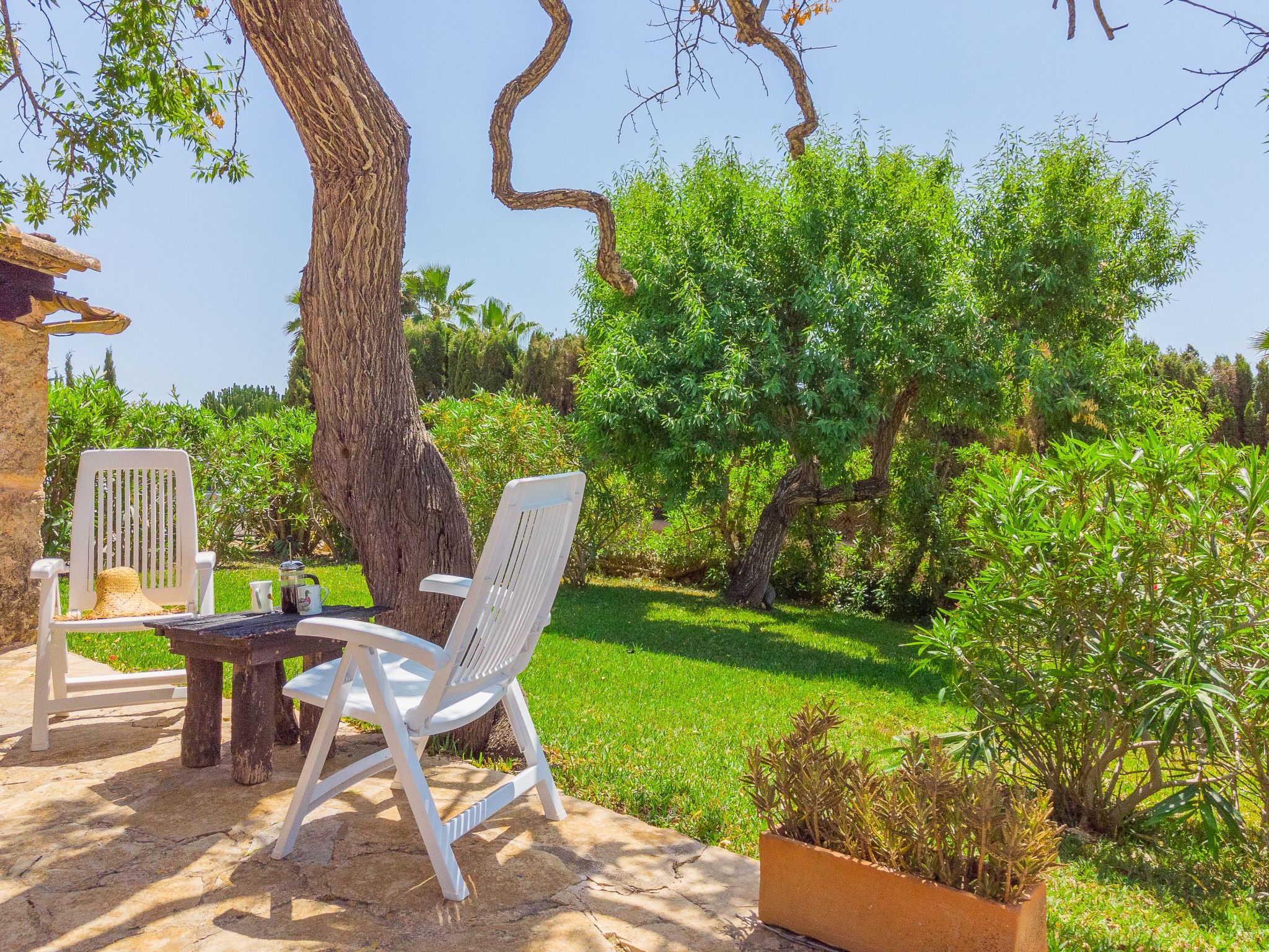 Palleta-Image-tags.info