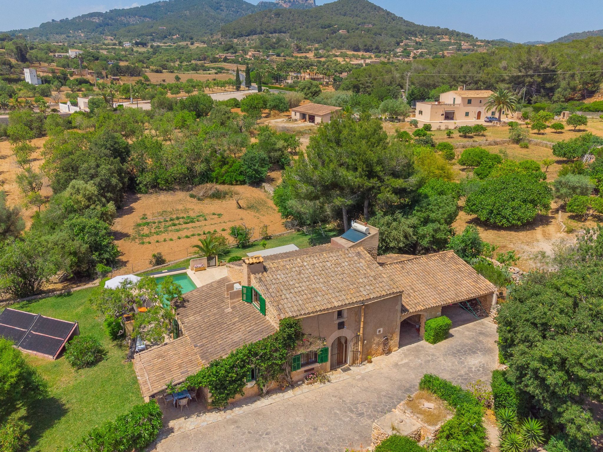 Palleta-Image-tags.info