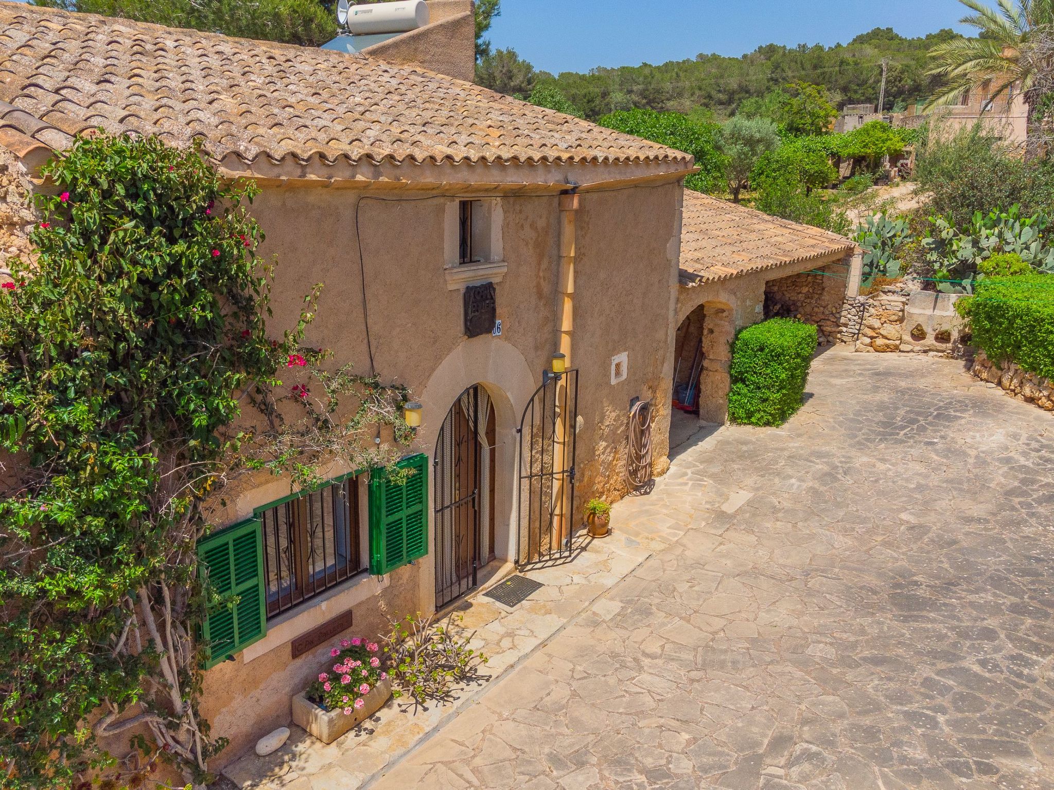 Palleta-Image-tags.info