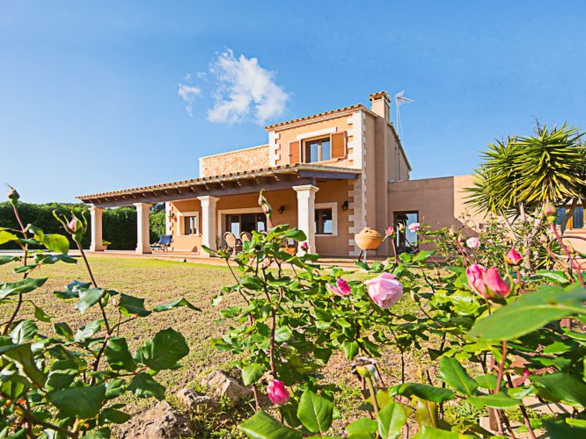 Roca Blanca-Image-tags.info