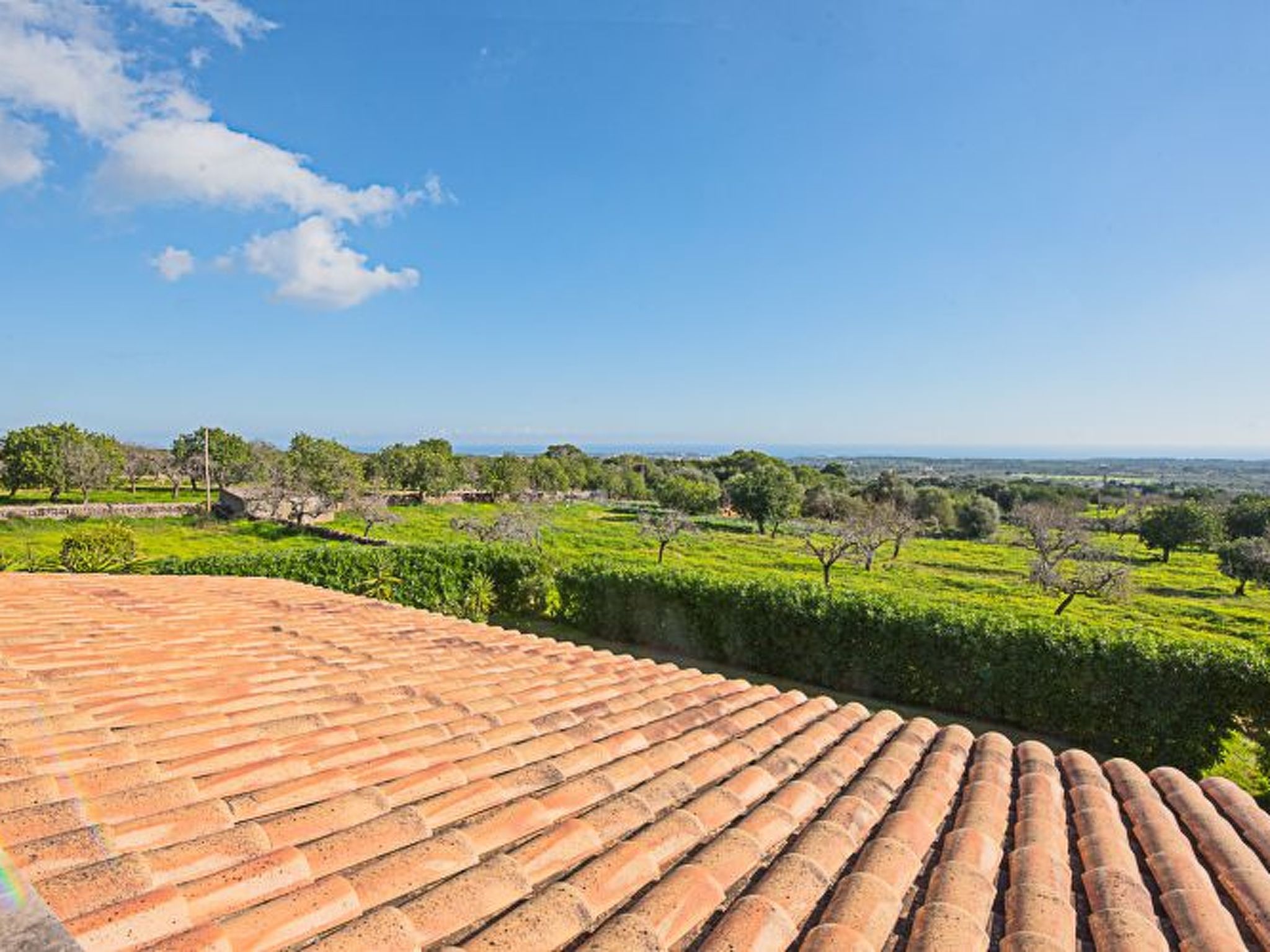 Roca Blanca-Image-tags.info