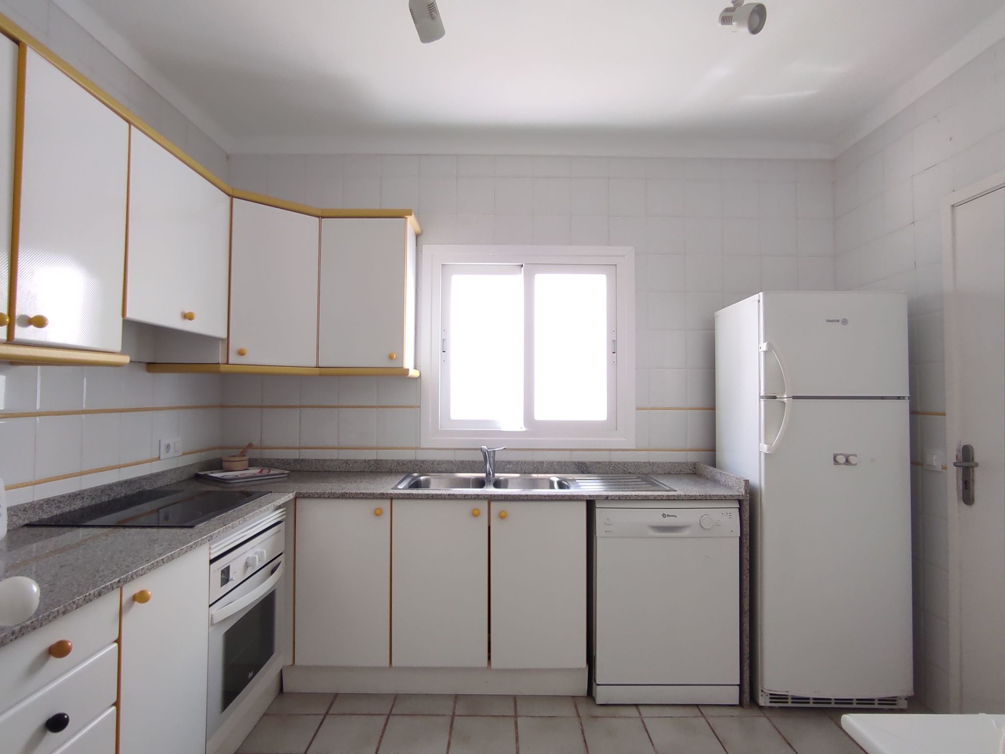 Acebuche-Image-tags.info