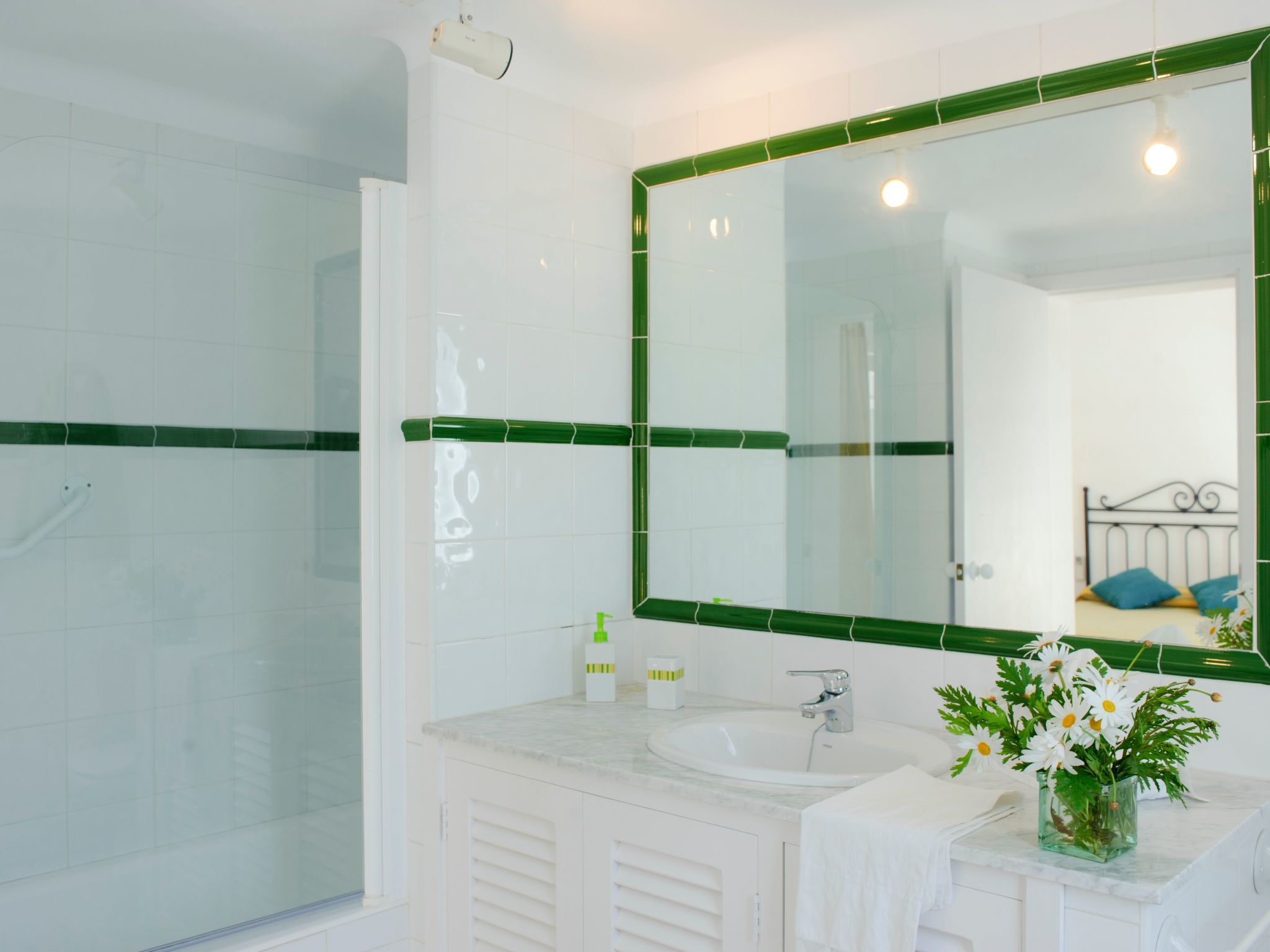 Acebuche-Image-tags.info