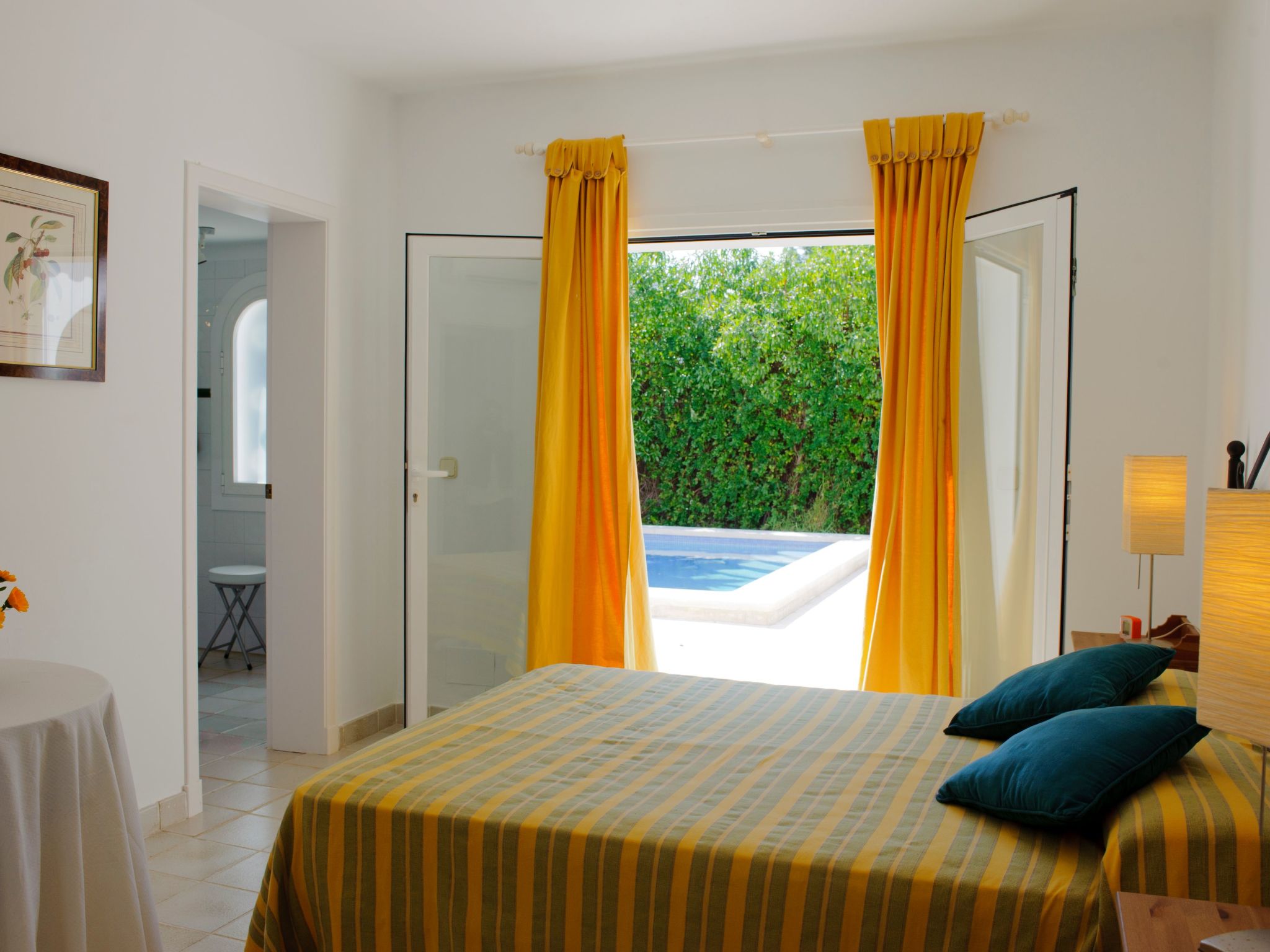 Acebuche-Image-tags.info