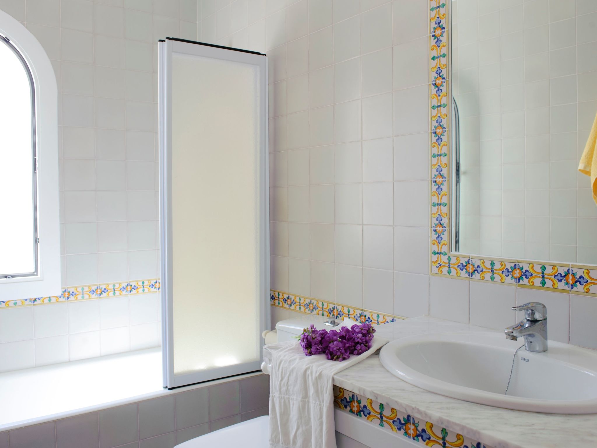 Acebuche-Image-tags.info