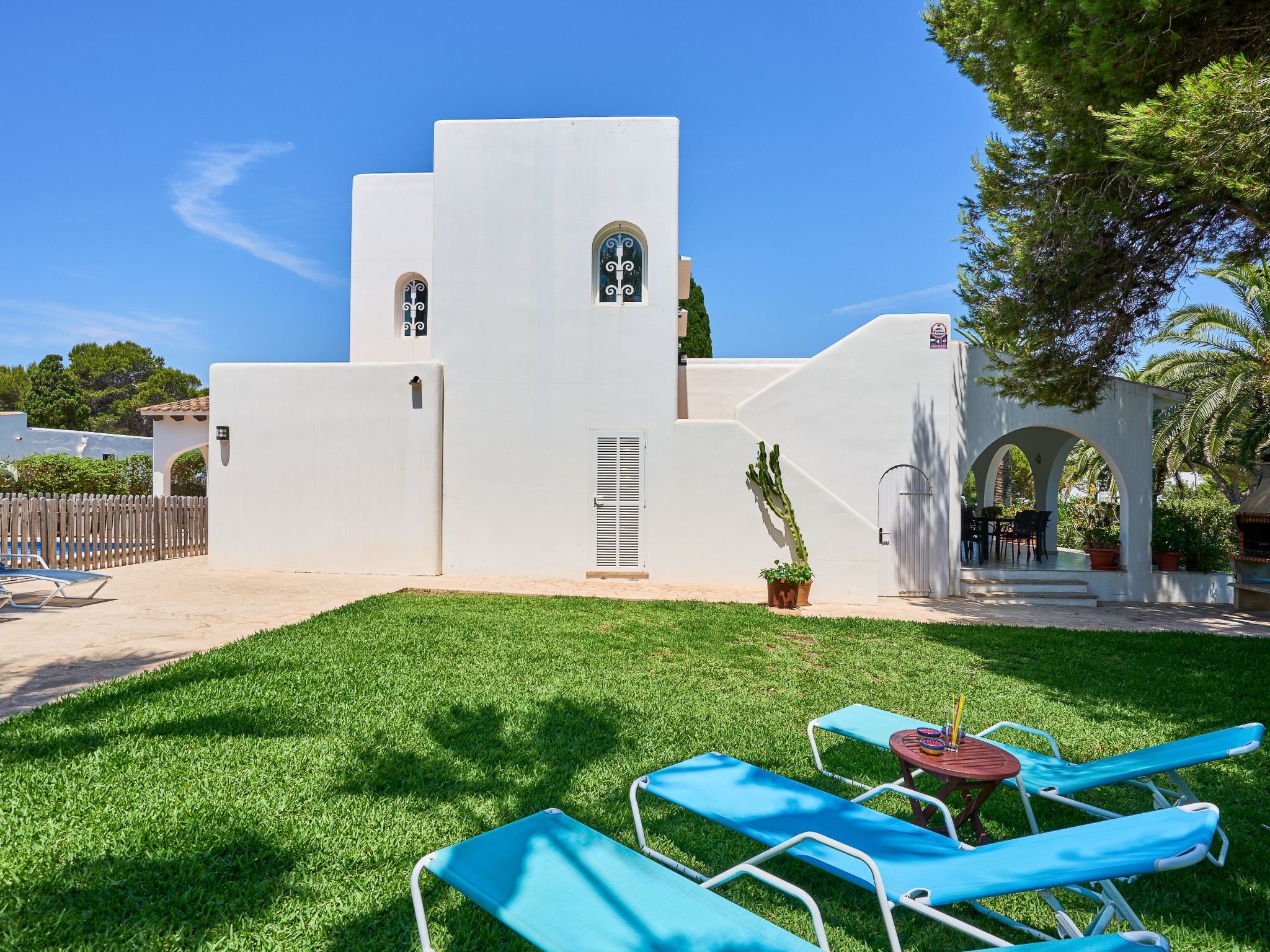 Acebuche-Image-tags.info