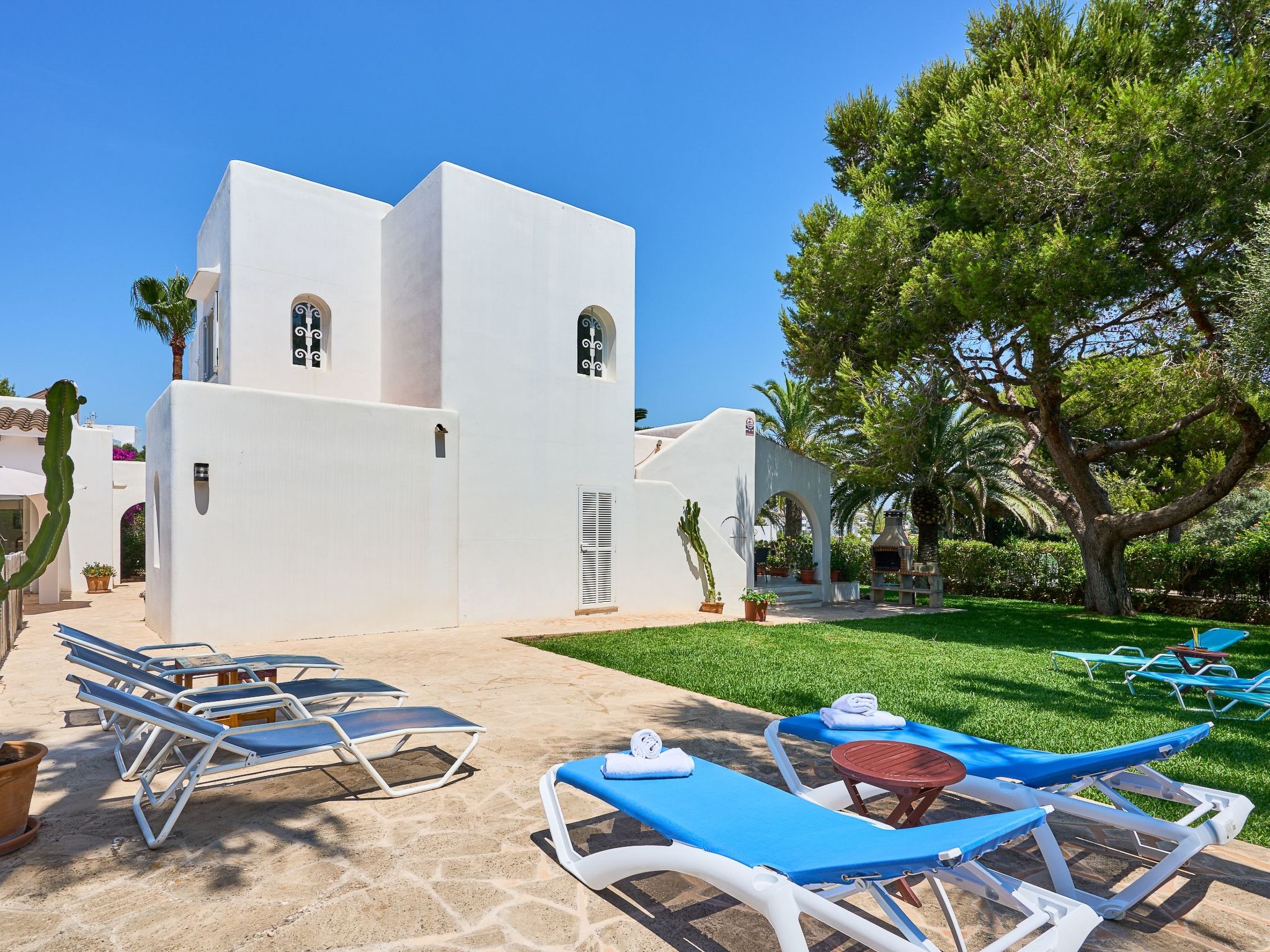 Acebuche-Image-tags.info