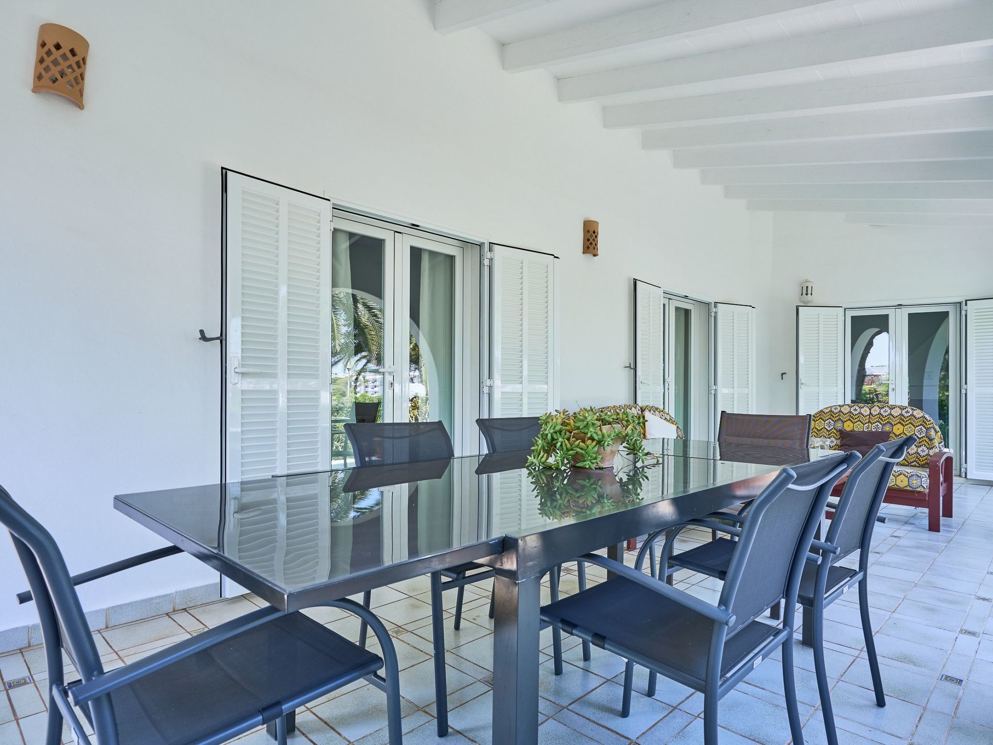 Acebuche-Image-tags.info