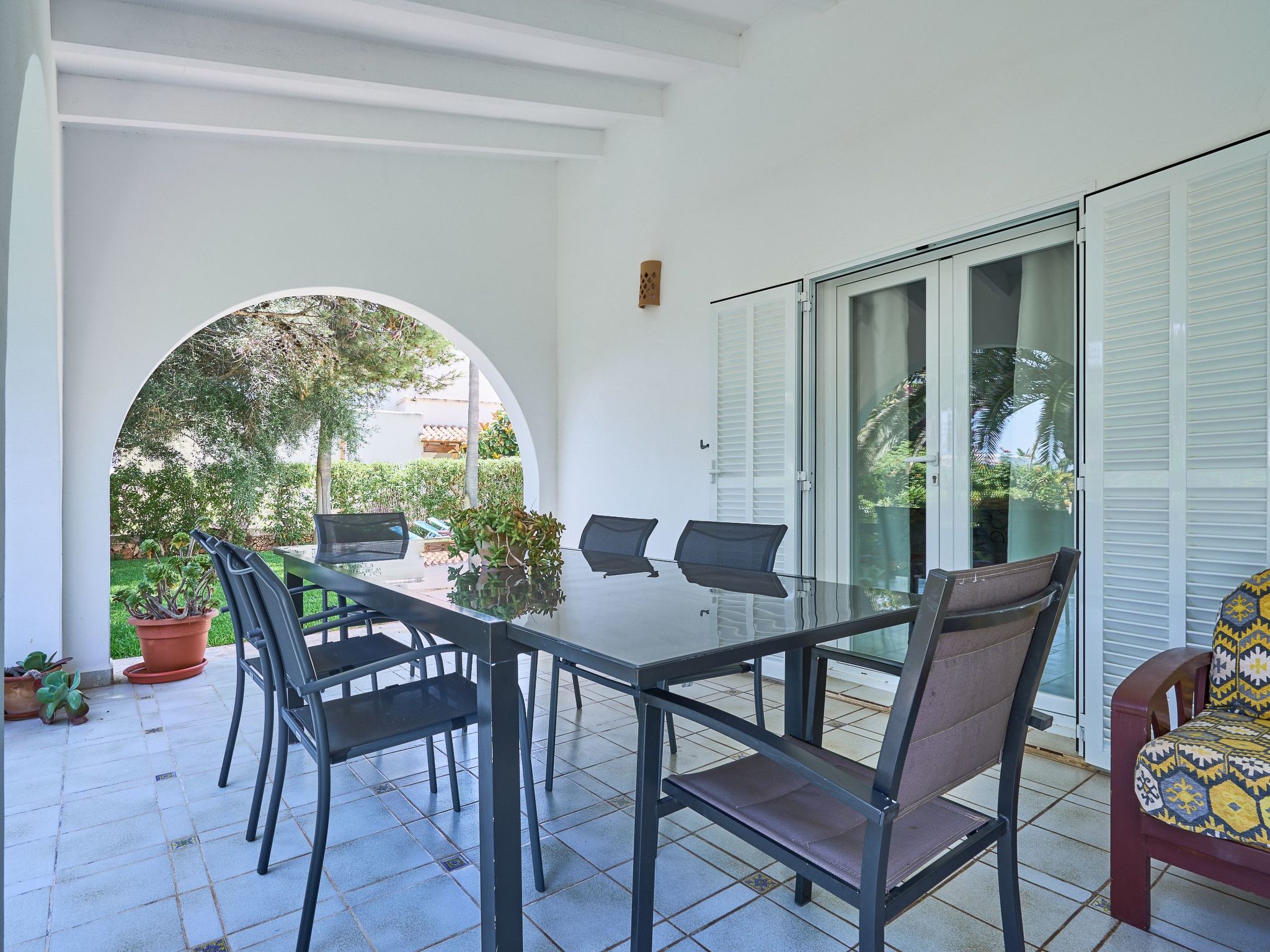 Acebuche-Image-tags.info