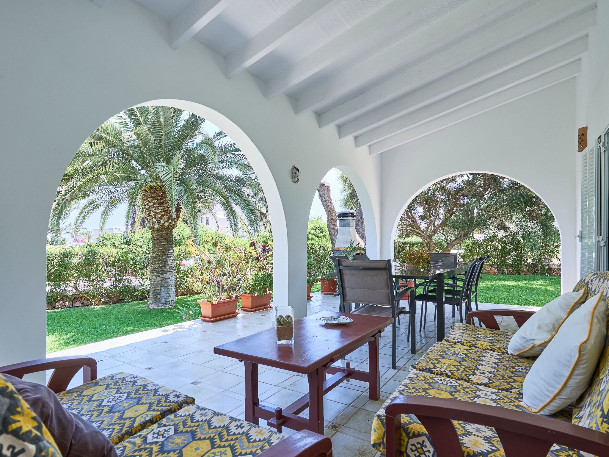 Acebuche-Image-tags.info