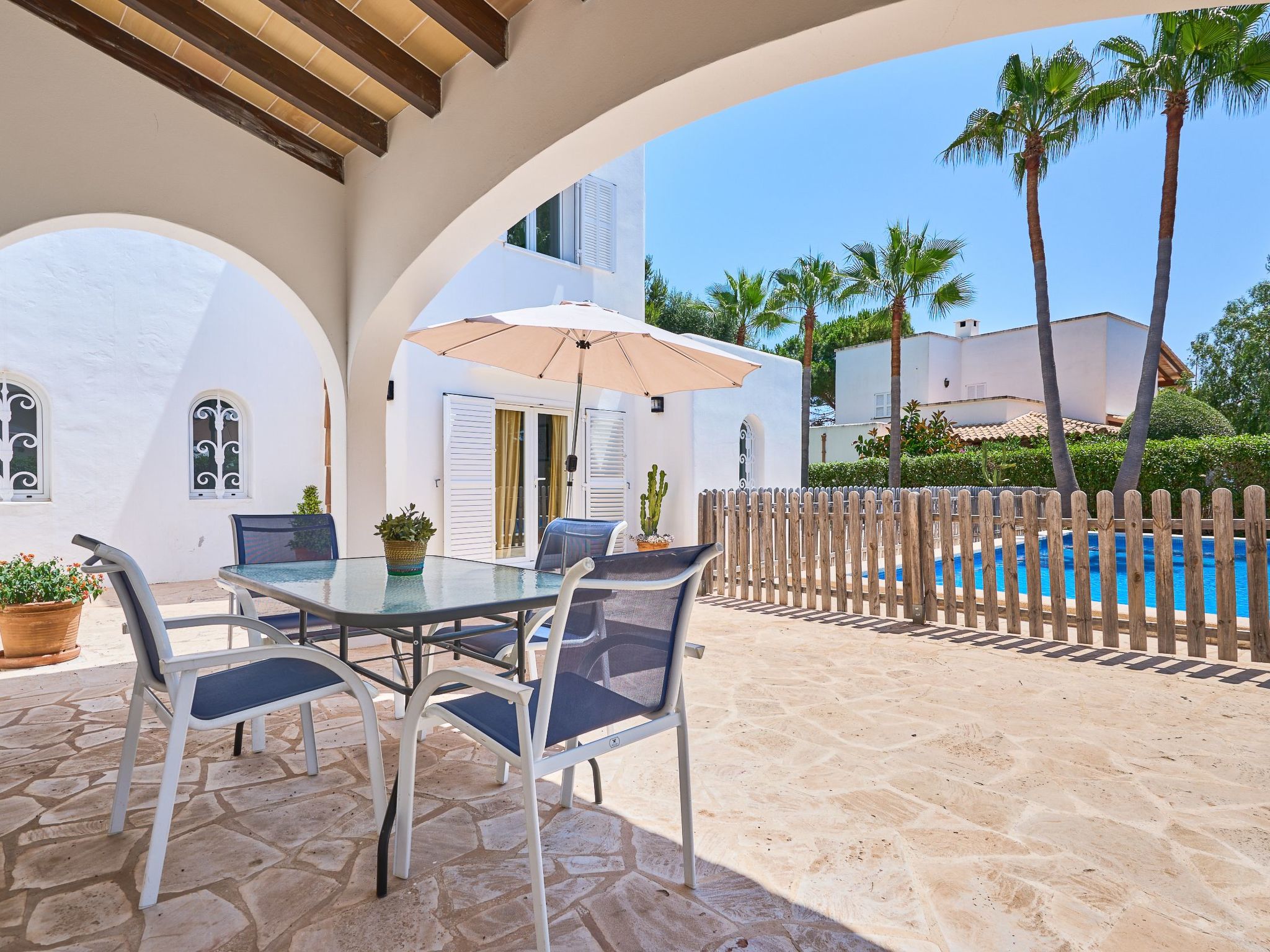 Acebuche-Image-tags.info