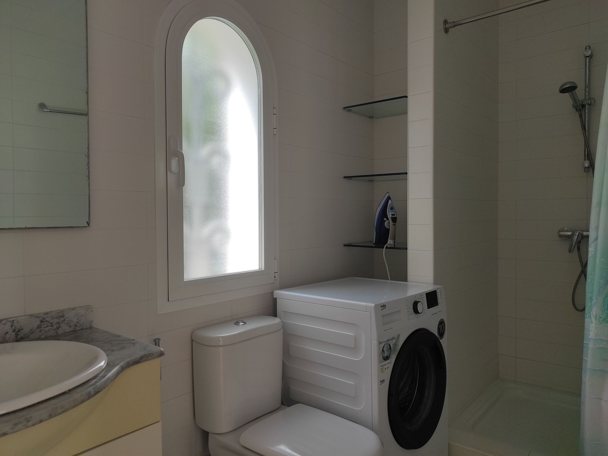 Acebuche-Image-tags.info