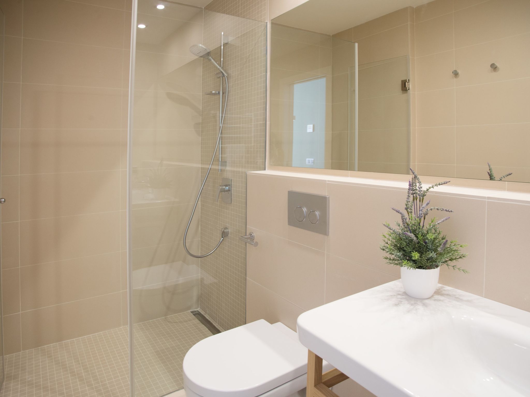 Ferrer de Shorta-Image-tags.info