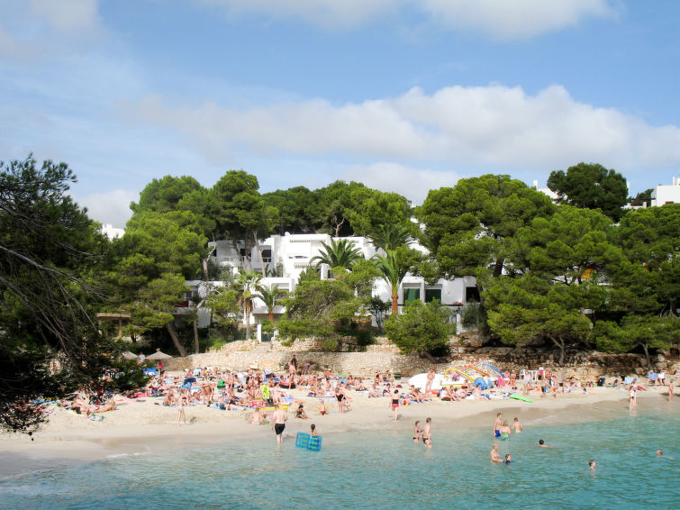 Photo of Playa d'Or