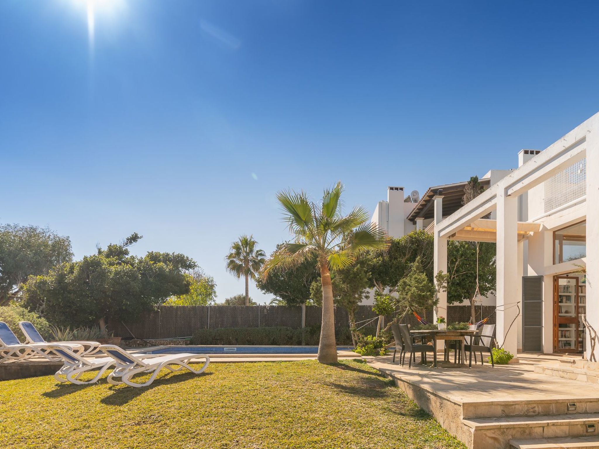 Ocala-Image-tags.info