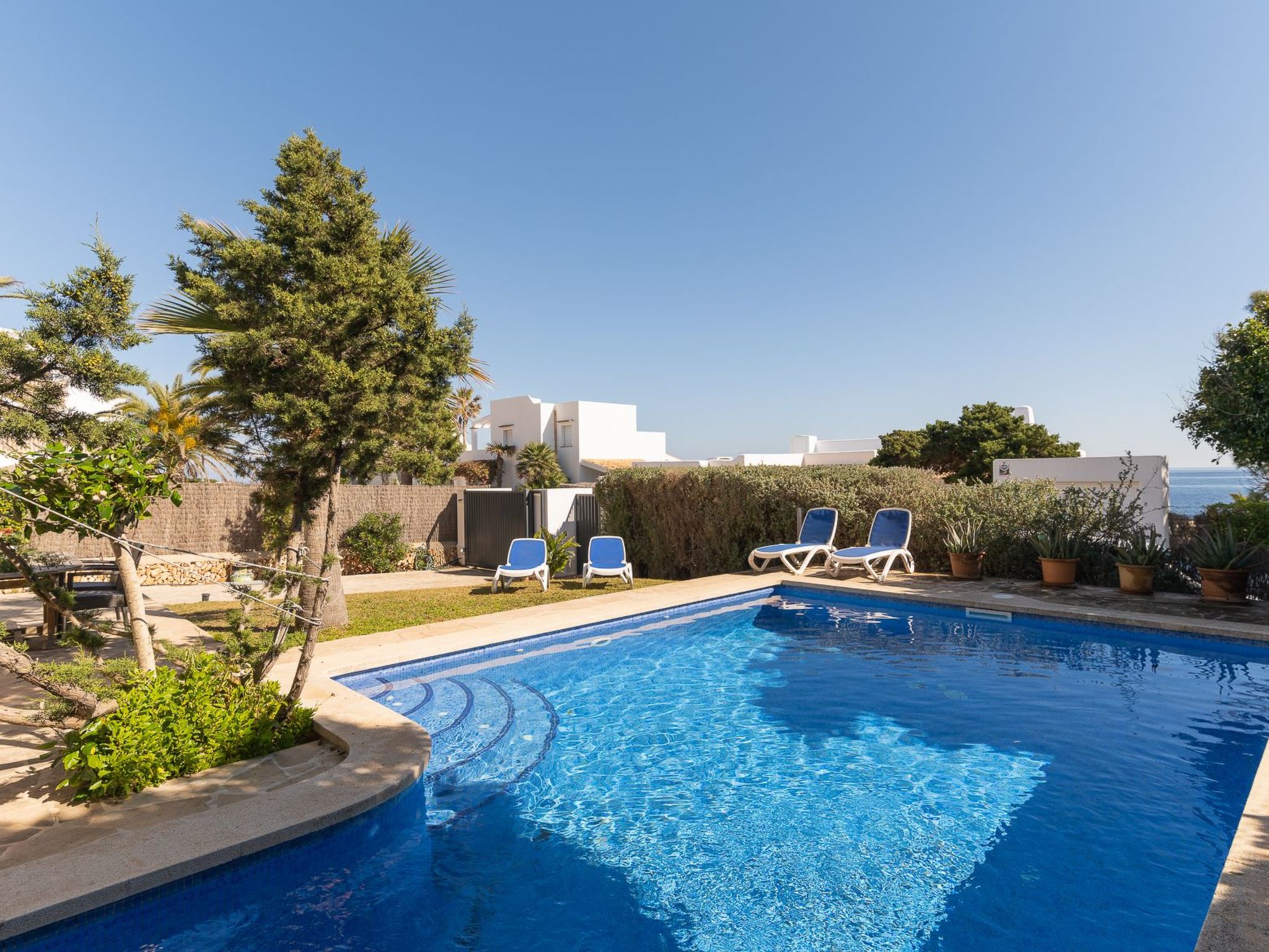 Ocala-Image-tags.info