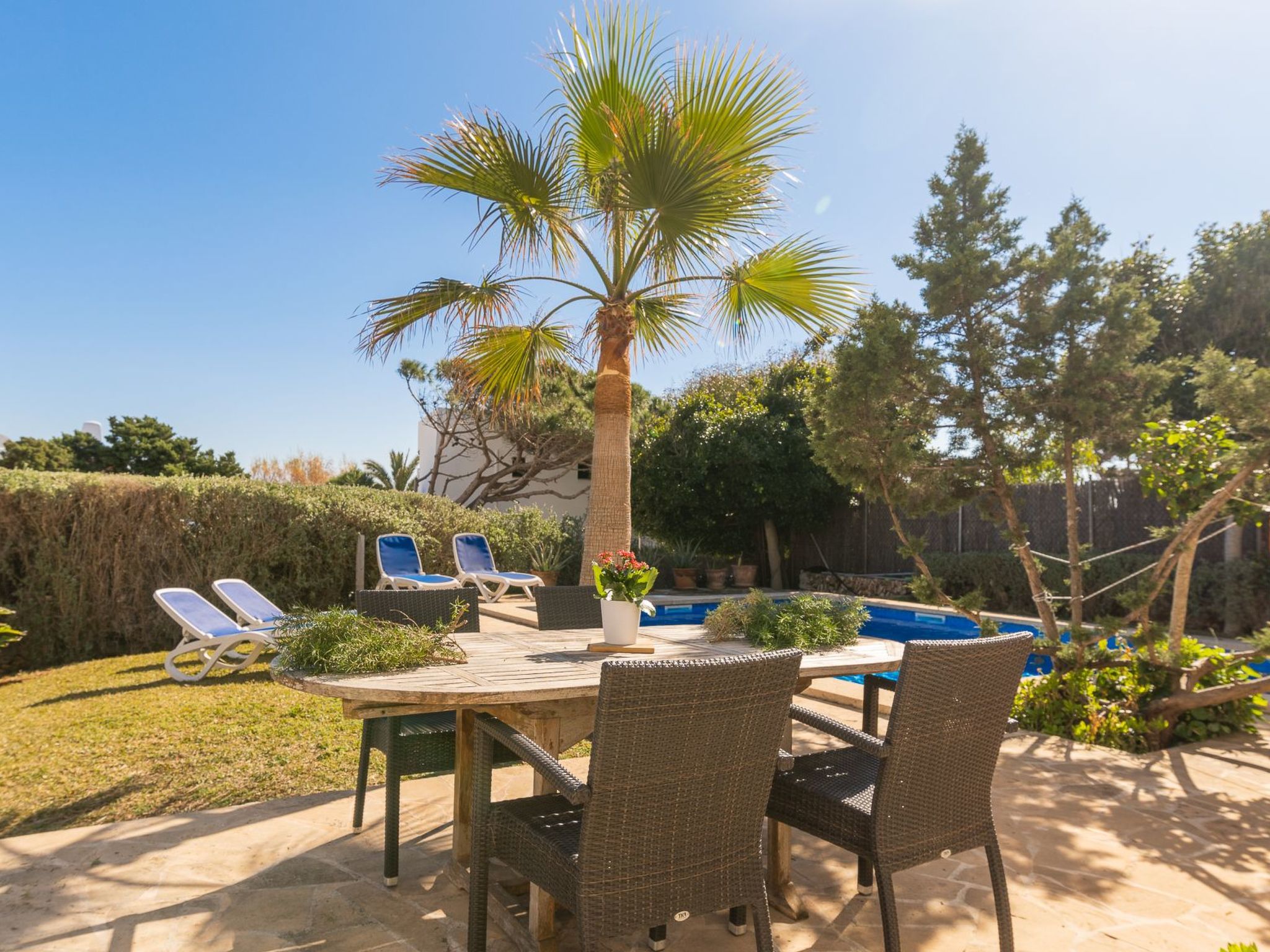 Ocala-Image-tags.info