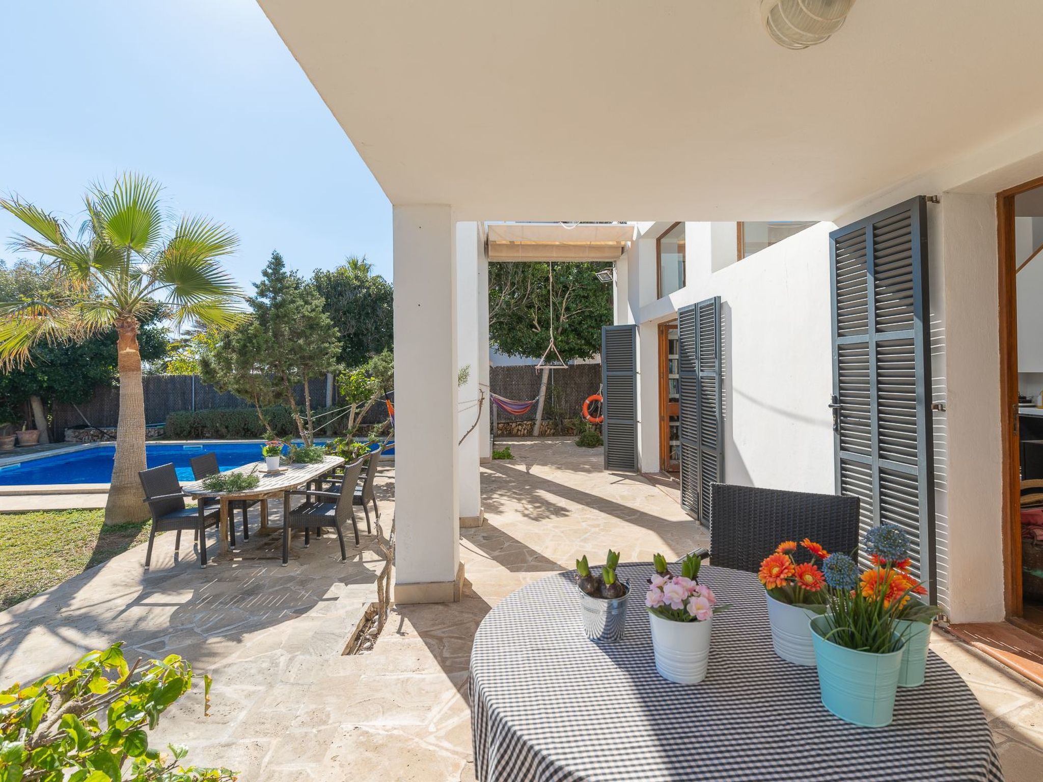 Ocala-Image-tags.info