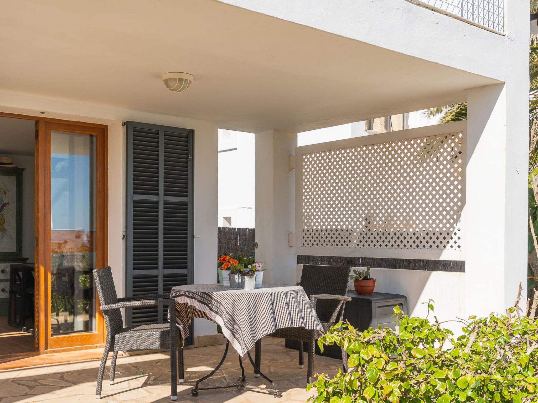 Ocala-Image-tags.info