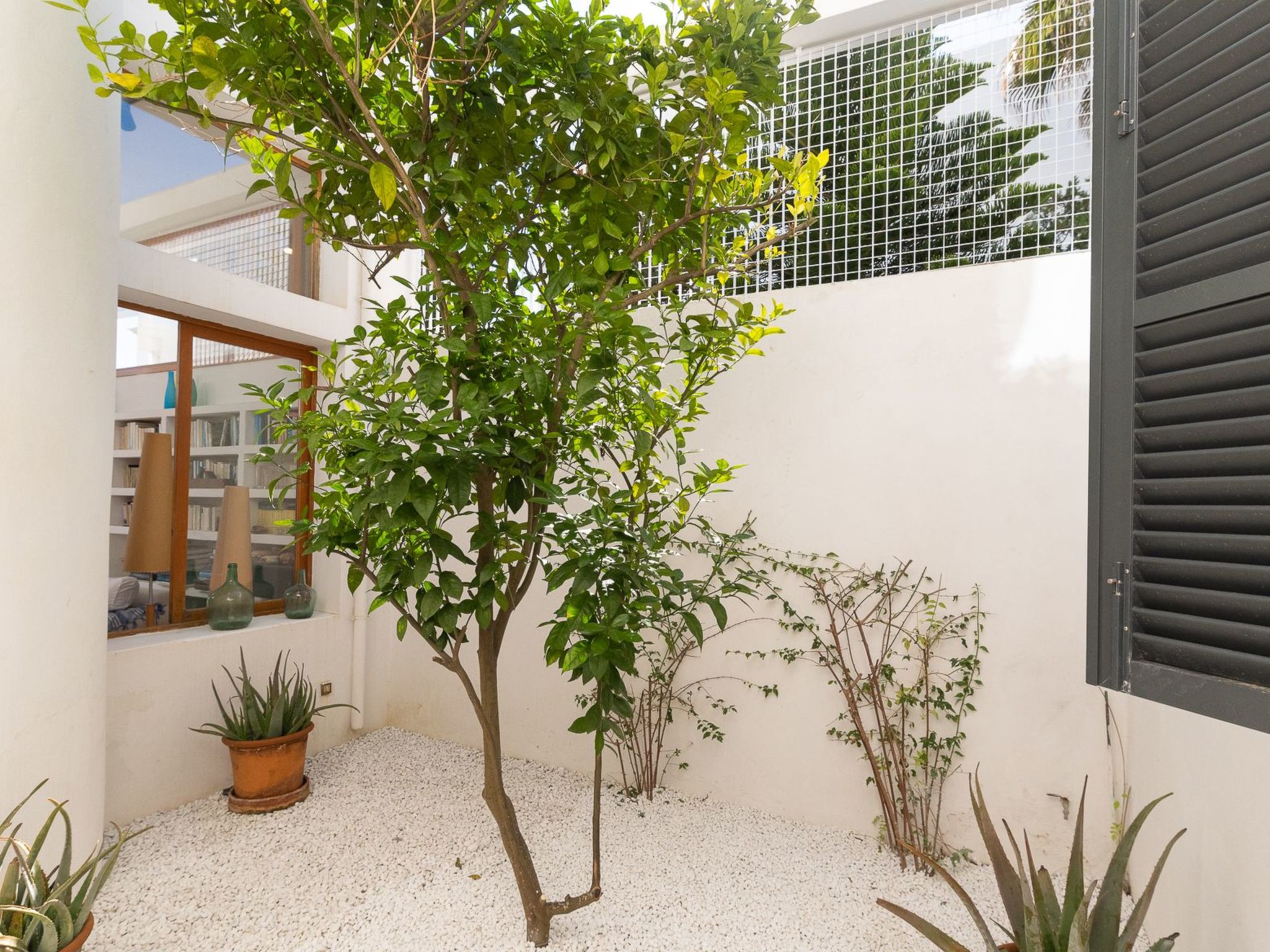 Ocala-Image-tags.info