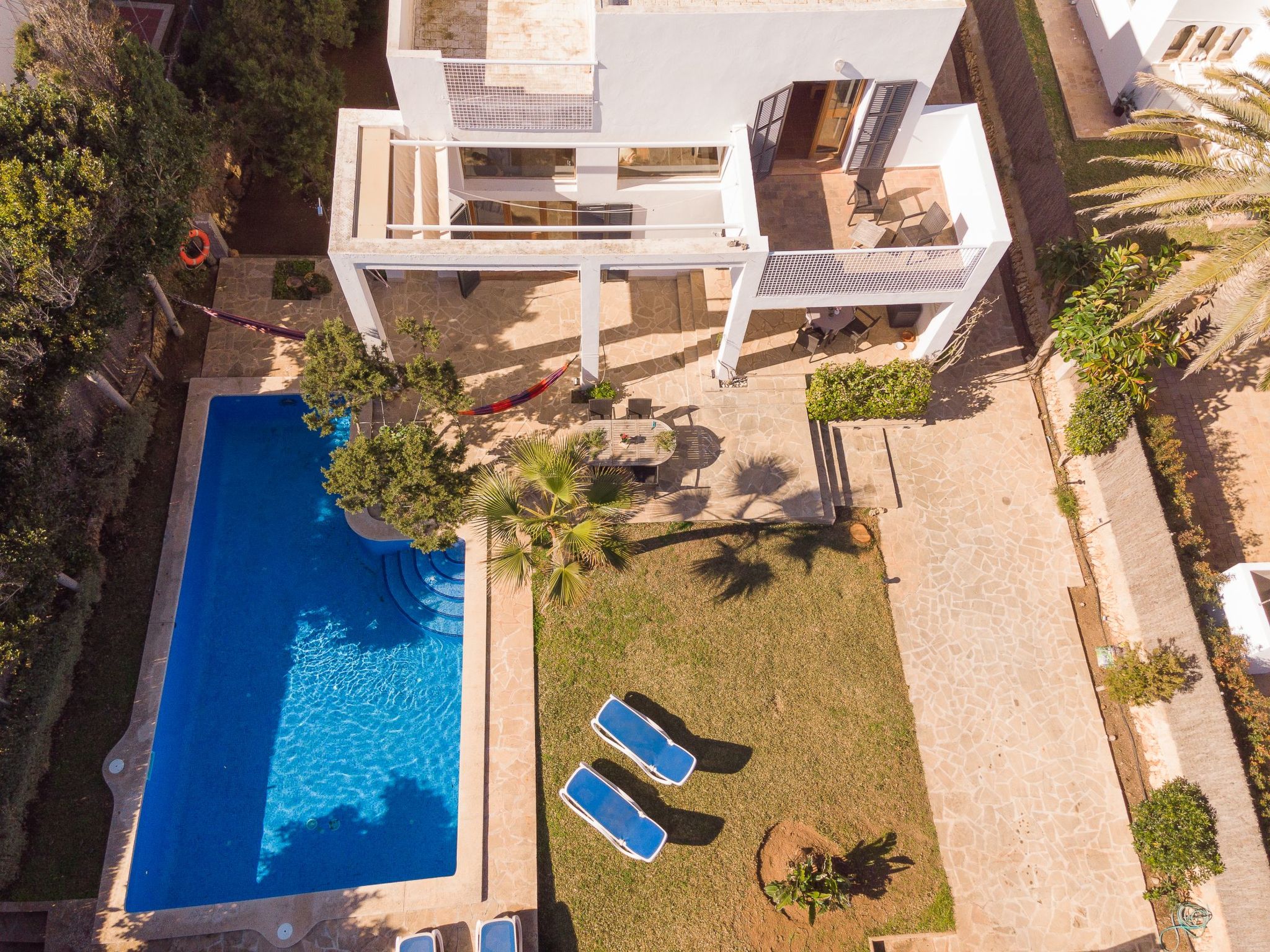 Ocala-Image-tags.info