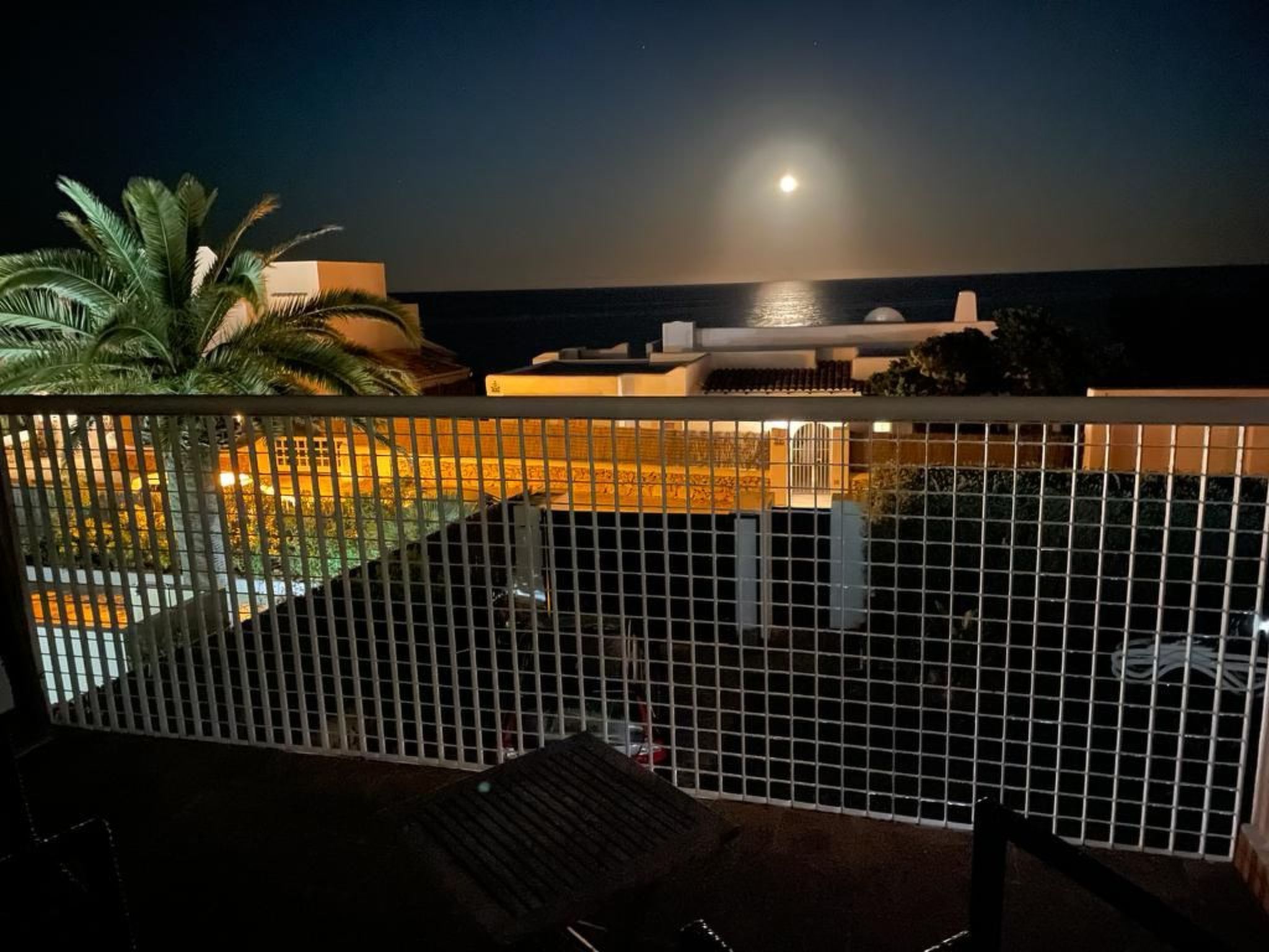 Ocala-Image-tags.info