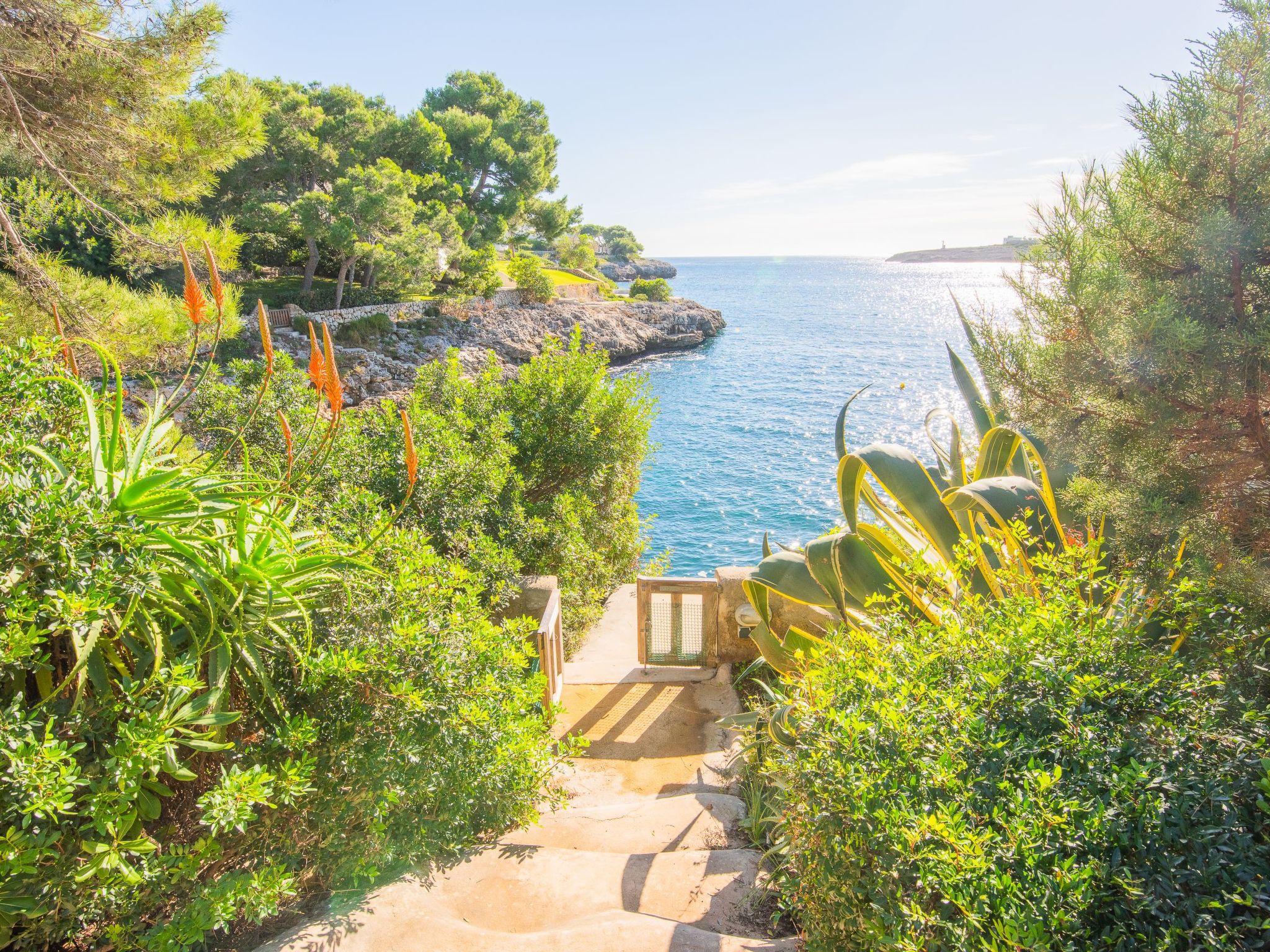 Bonaire-Image-tags.info