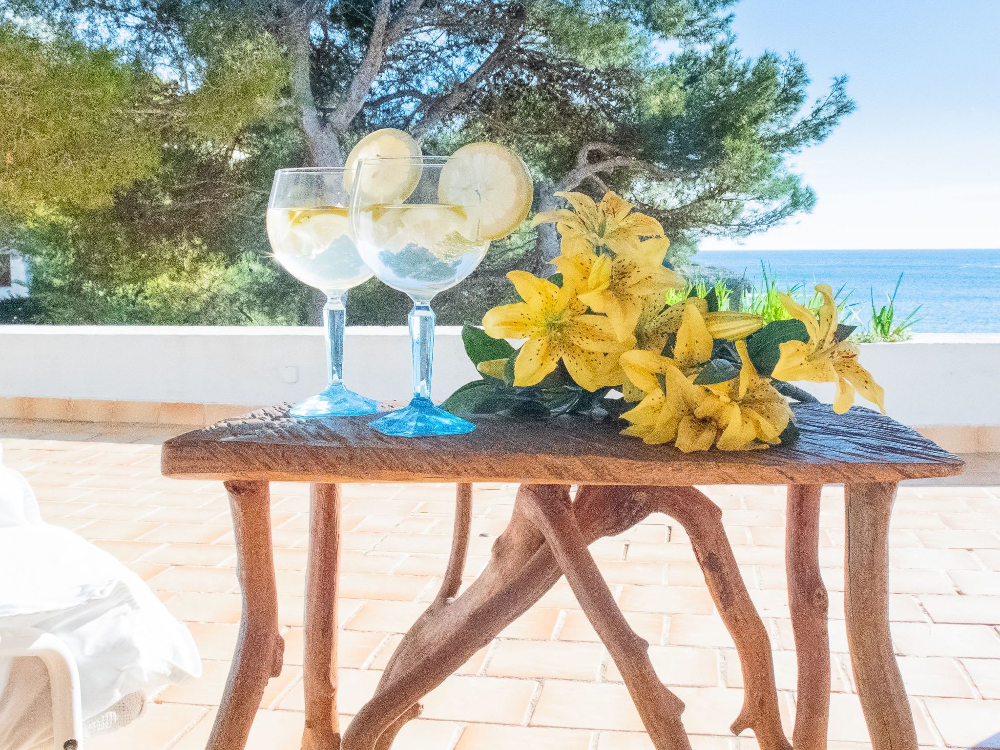 Bonaire-Image-tags.info