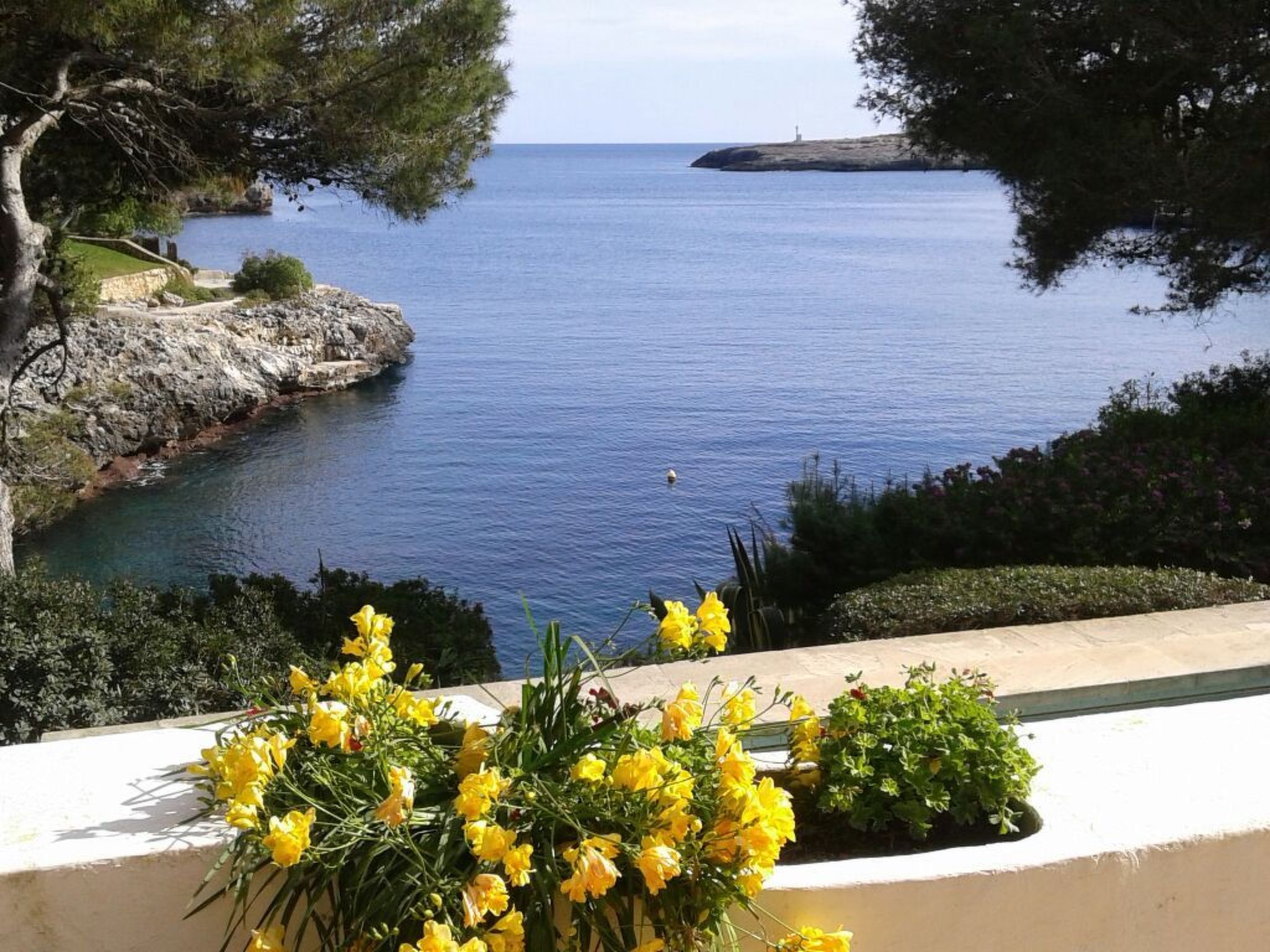 Bonaire-Image-tags.info