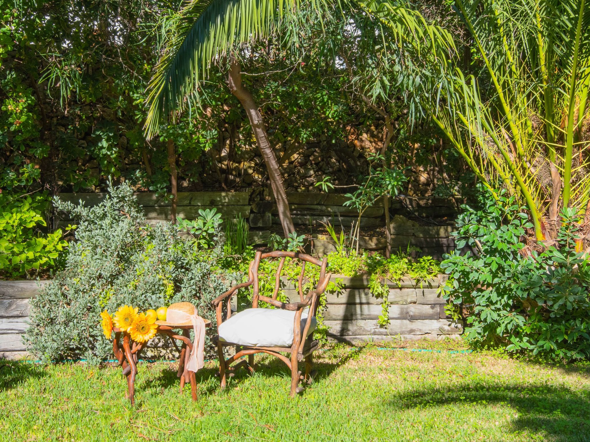 Bonaire-Image-tags.info