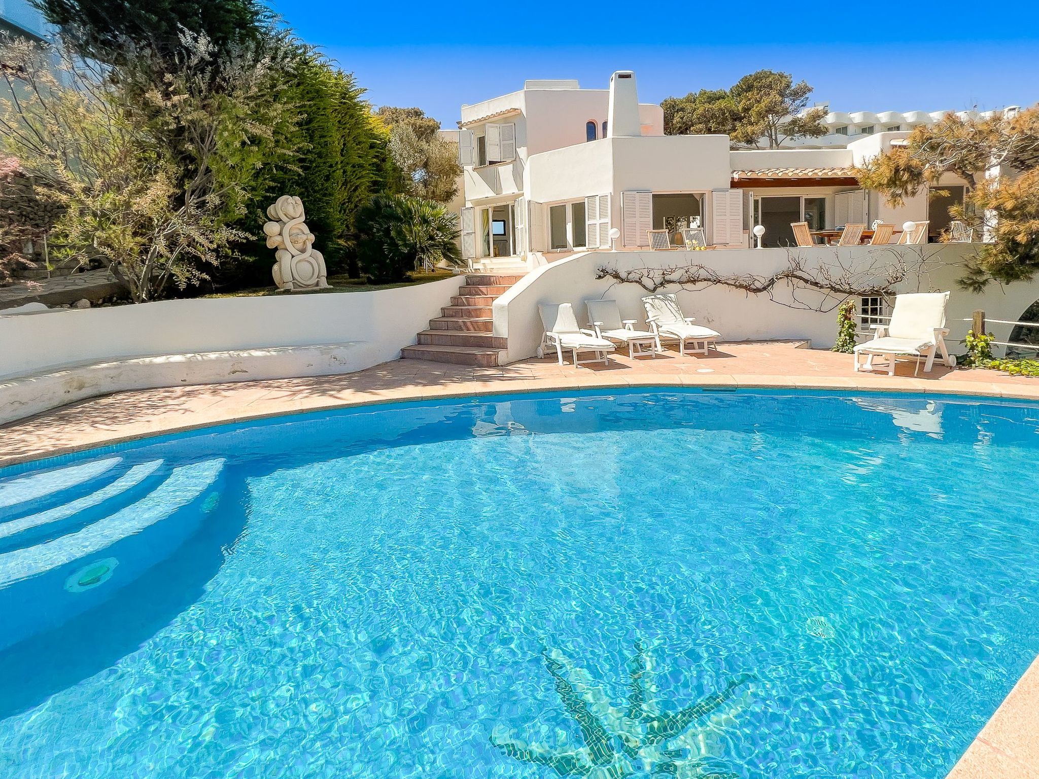 Guacarachas-Image-tags.info