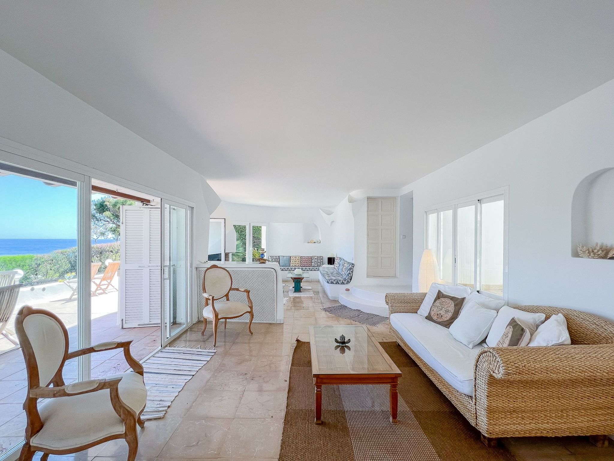 Guacarachas-Image-tags.info