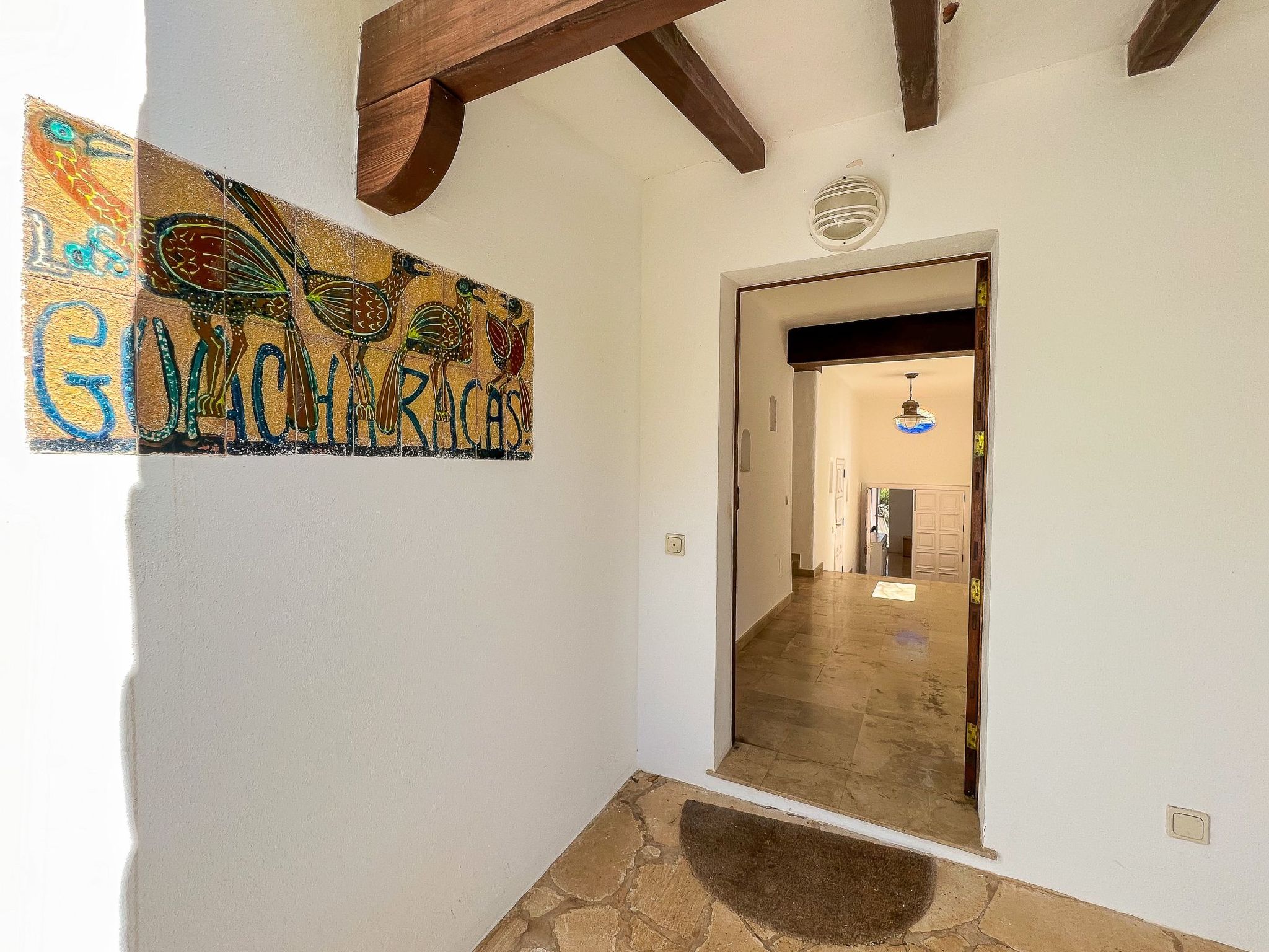 Guacarachas-Image-tags.info