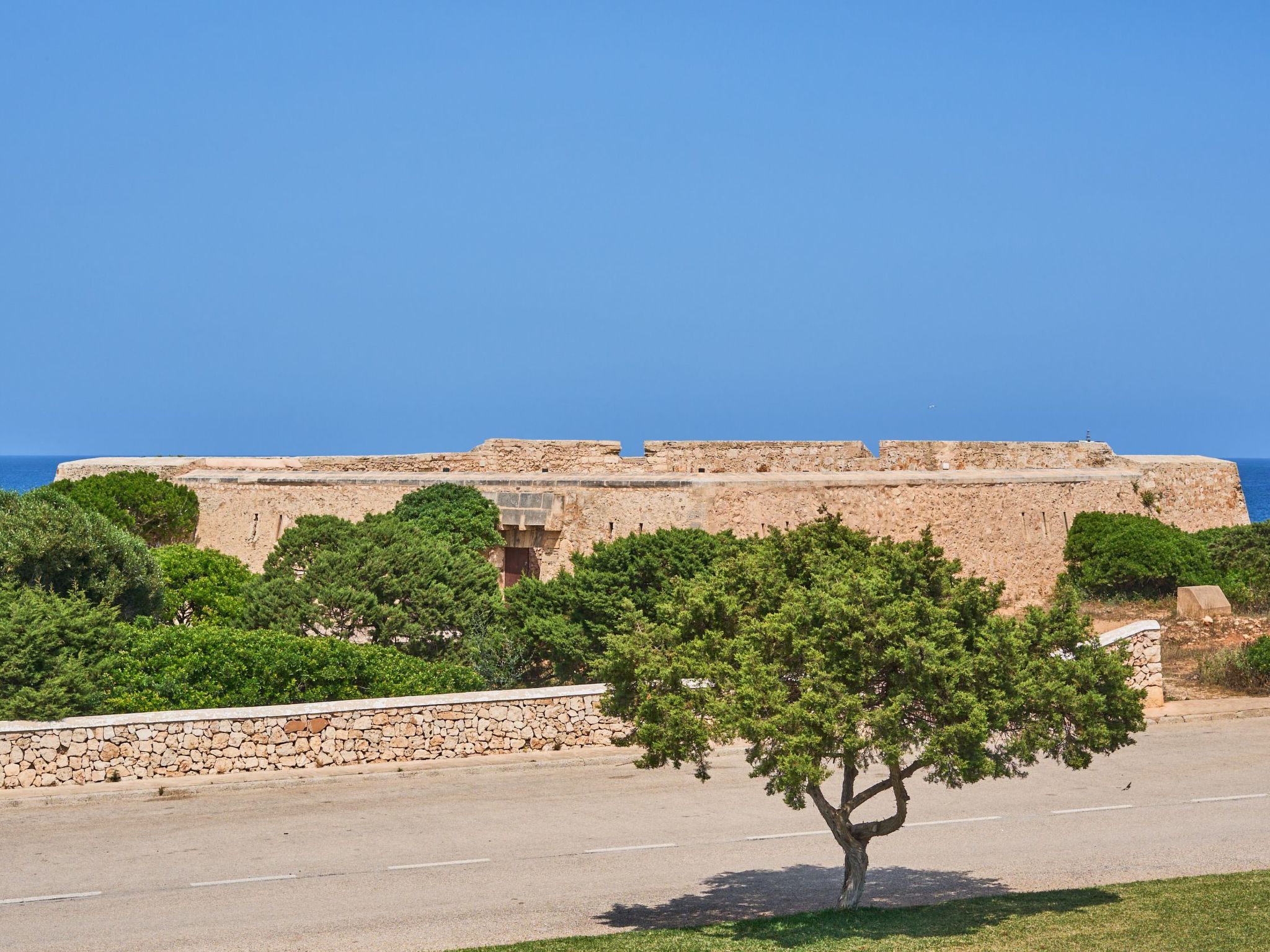 Forti 52-Image-tags.info