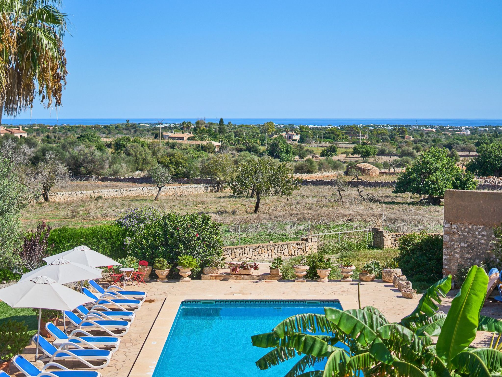 Tanca-Image-tags.info