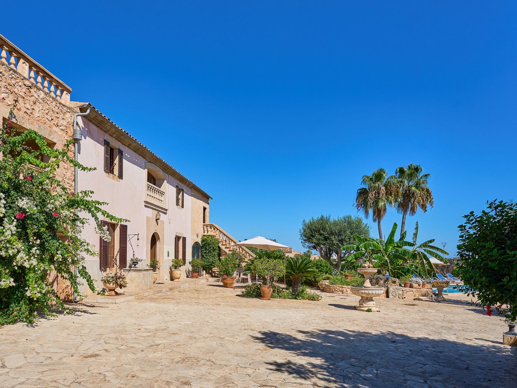 Tanca-Image-tags.info