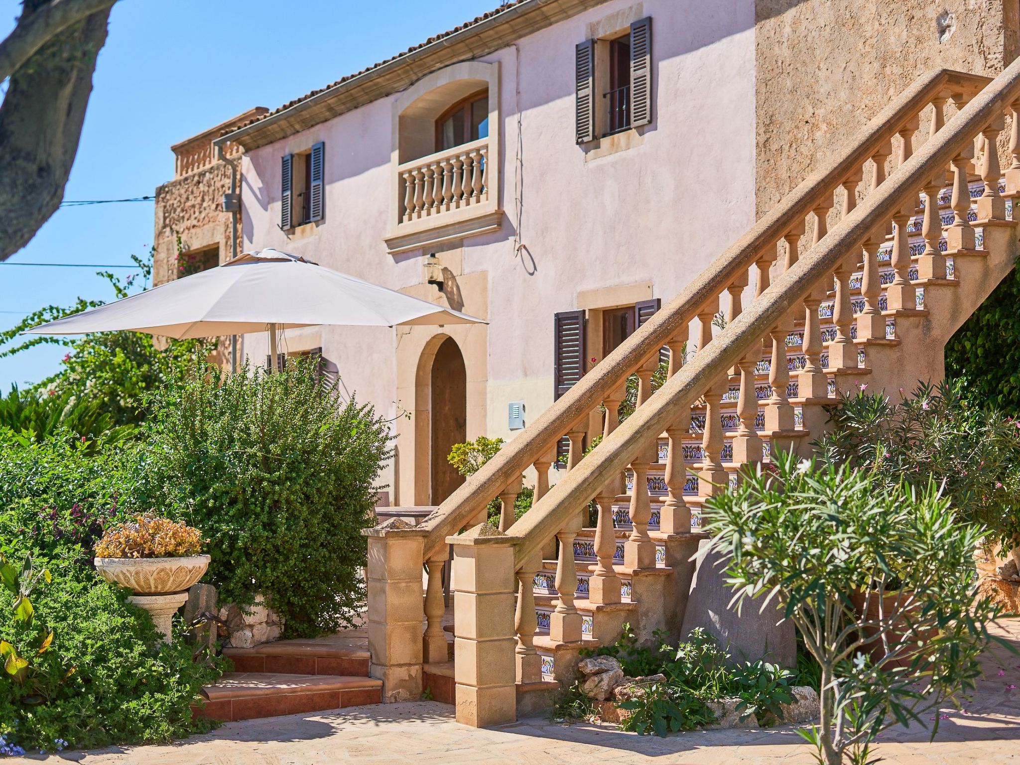 Tanca-Image-tags.info