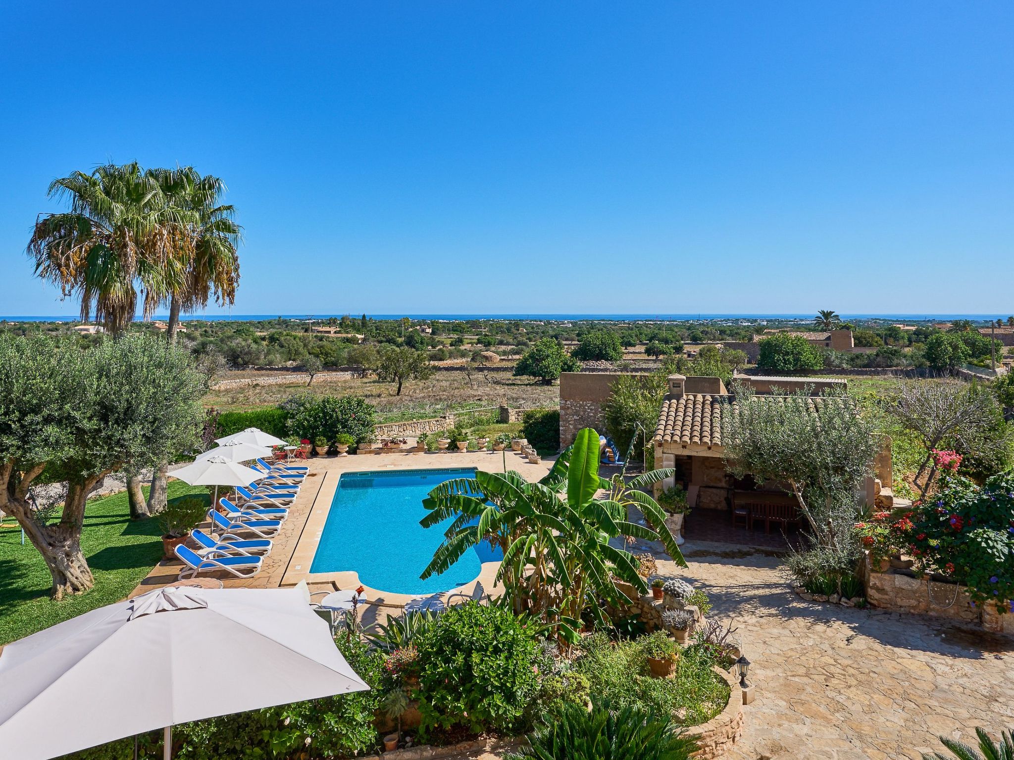 Tanca-Image-tags.info