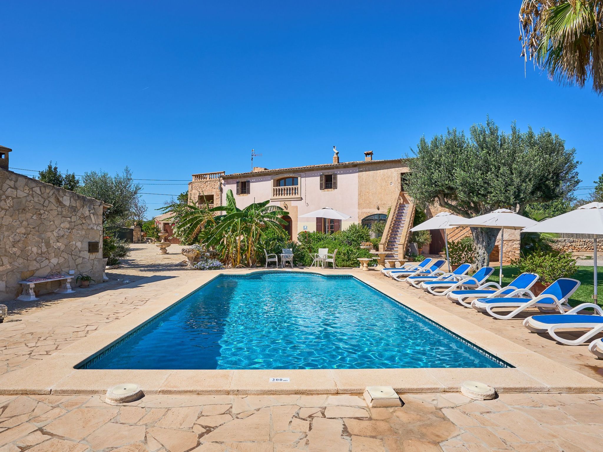 Tanca-Image-tags.info