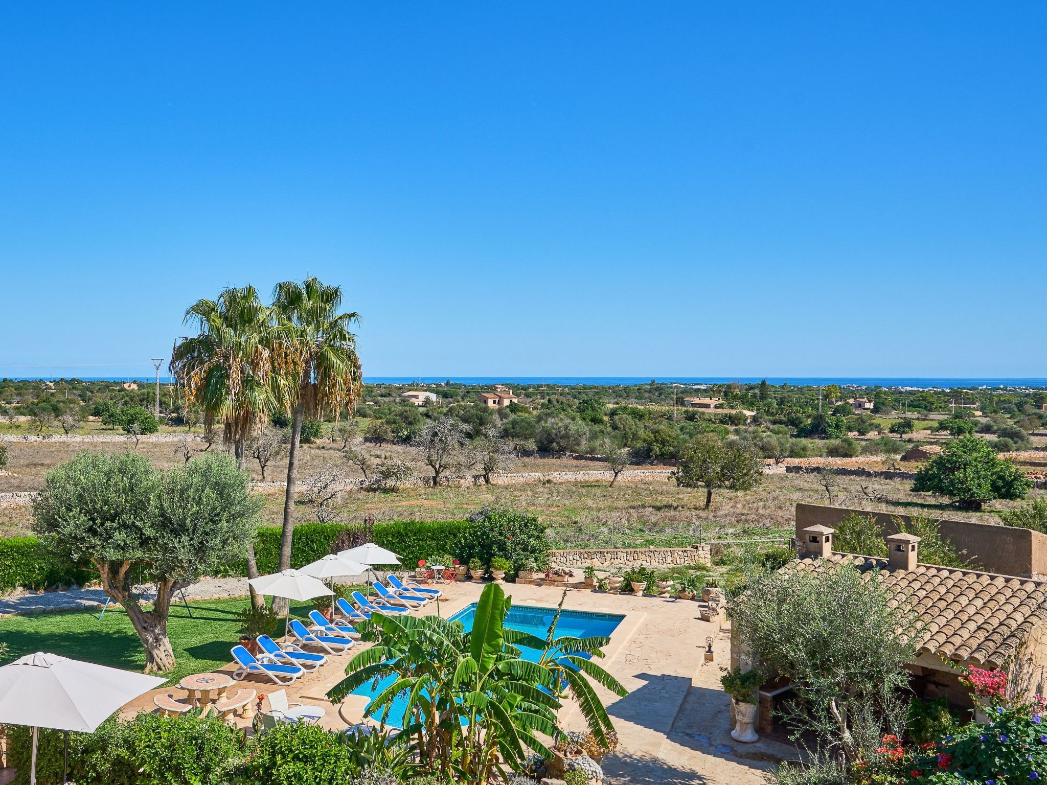 Tanca-Image-tags.info