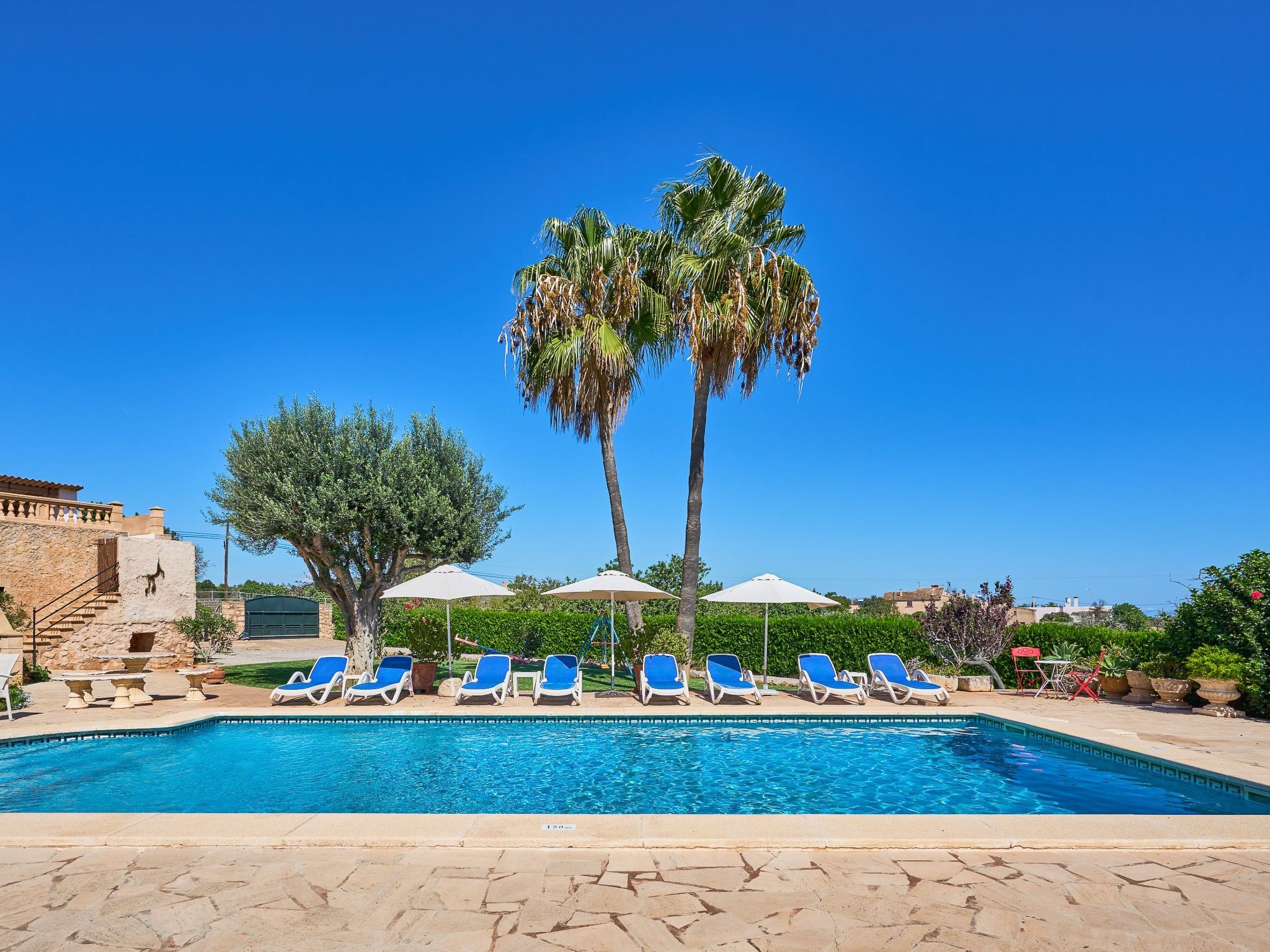 Tanca-Image-tags.info