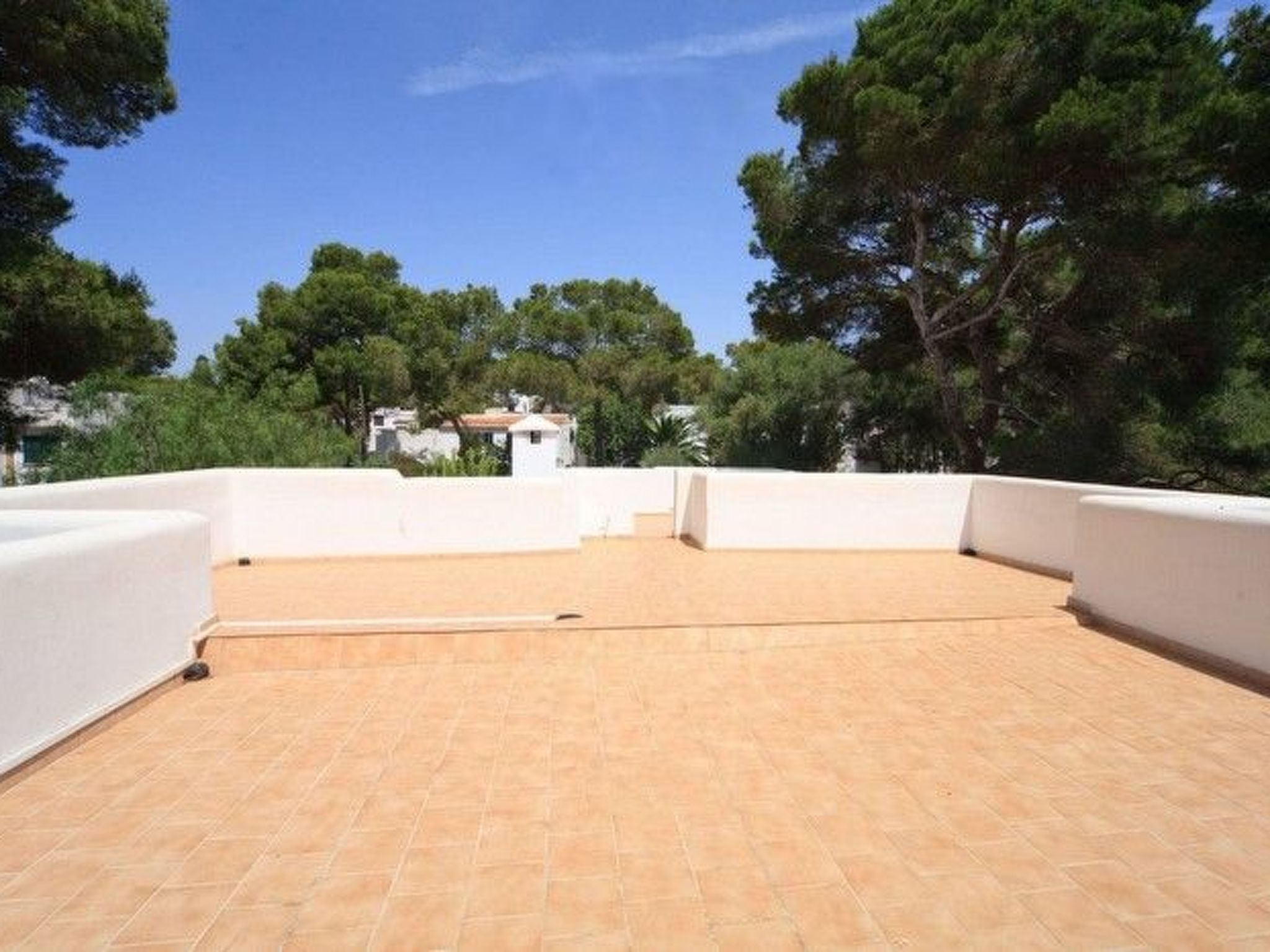 Marions-Image-tags.info