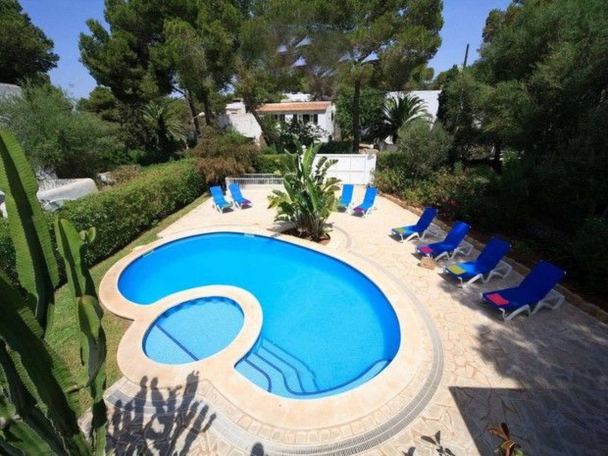 Marions-Image-tags.info